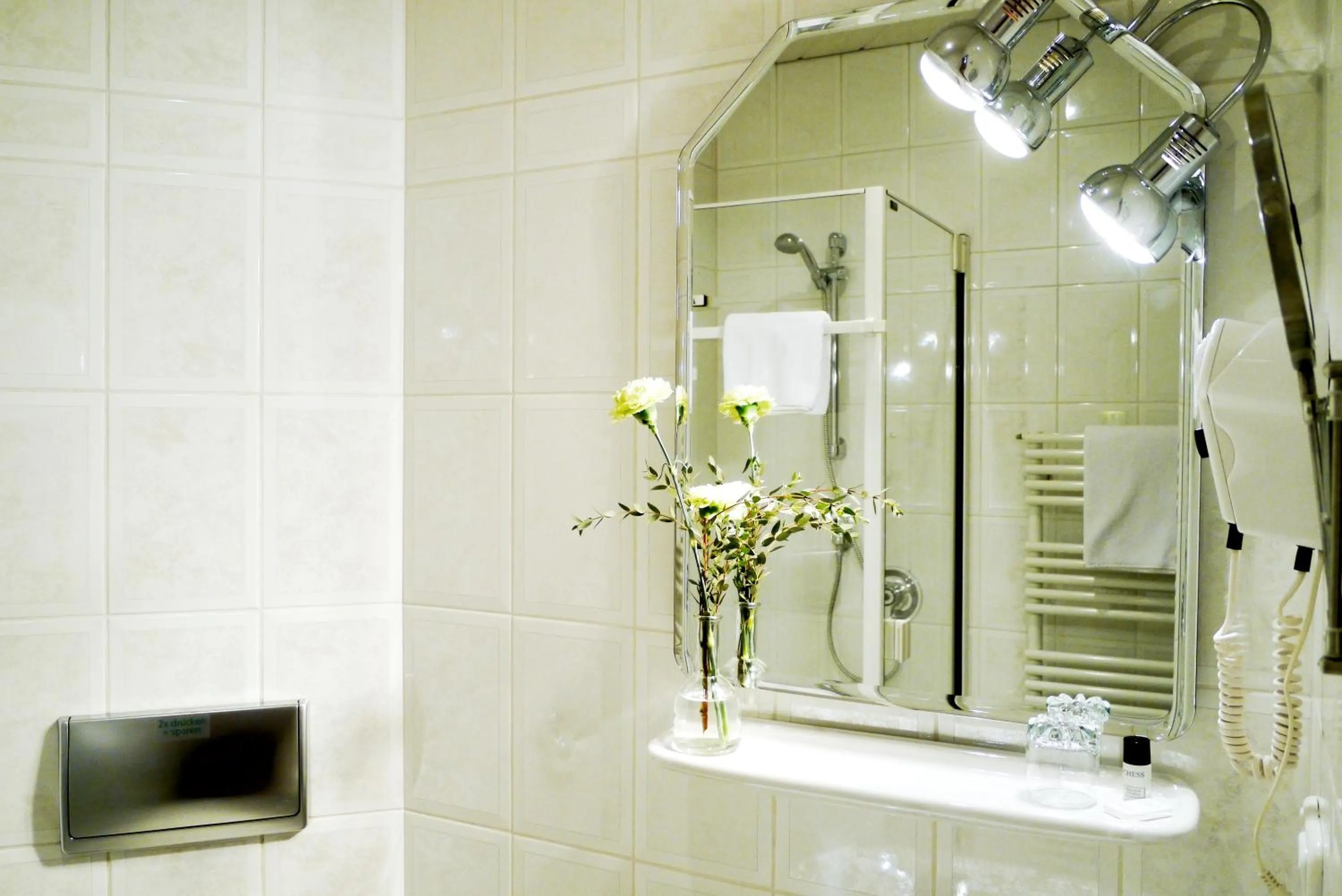 Shower in Hotel Grader