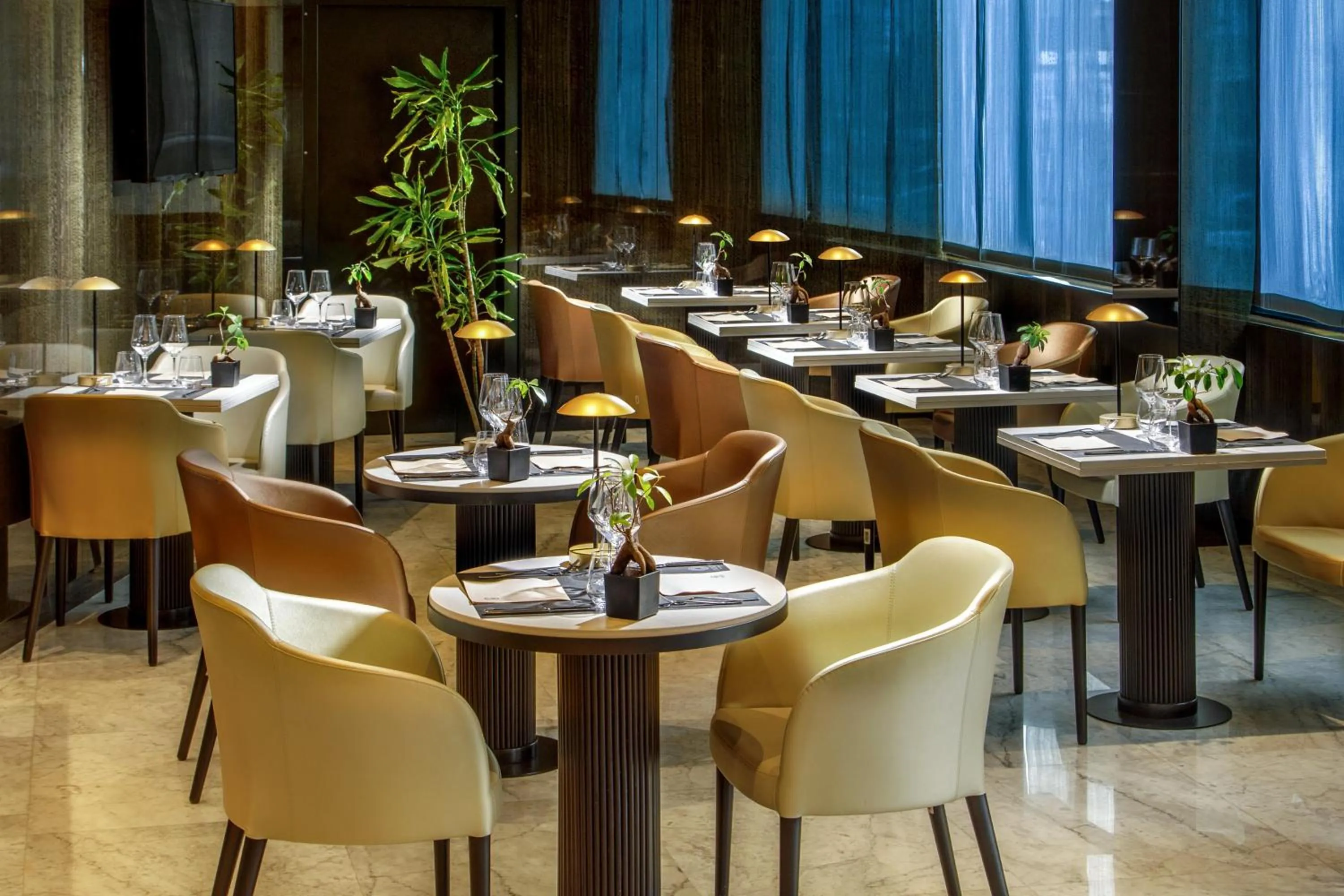 Restaurant/places to eat in Hotel St Martin by OMNIA hotels