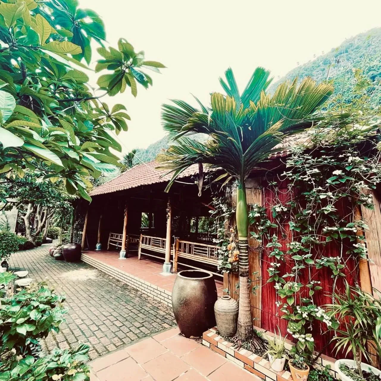 Property building in Lan Homestay