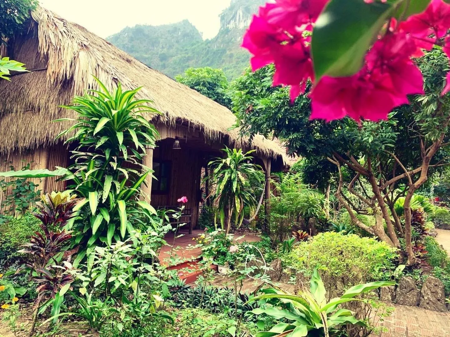 Natural landscape in Lan Homestay