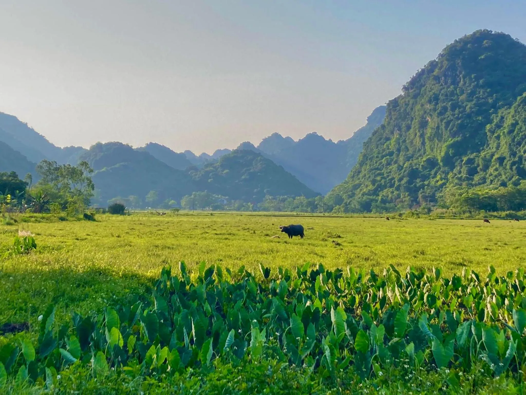 Nearby landmark in Lan Homestay