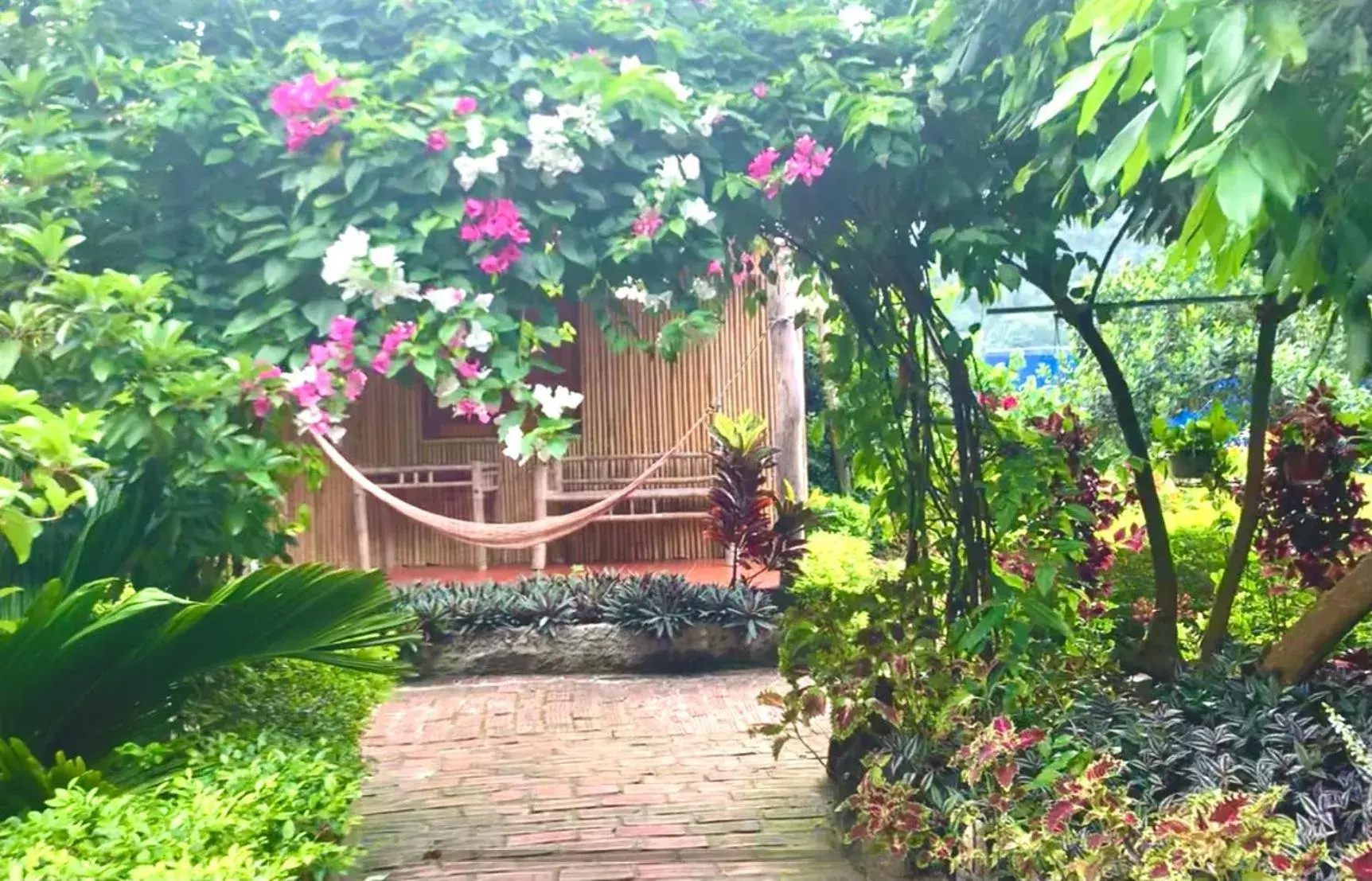 Family Room with Mountain View in Lan Homestay Family Room with Mountain View in Lan Homestay