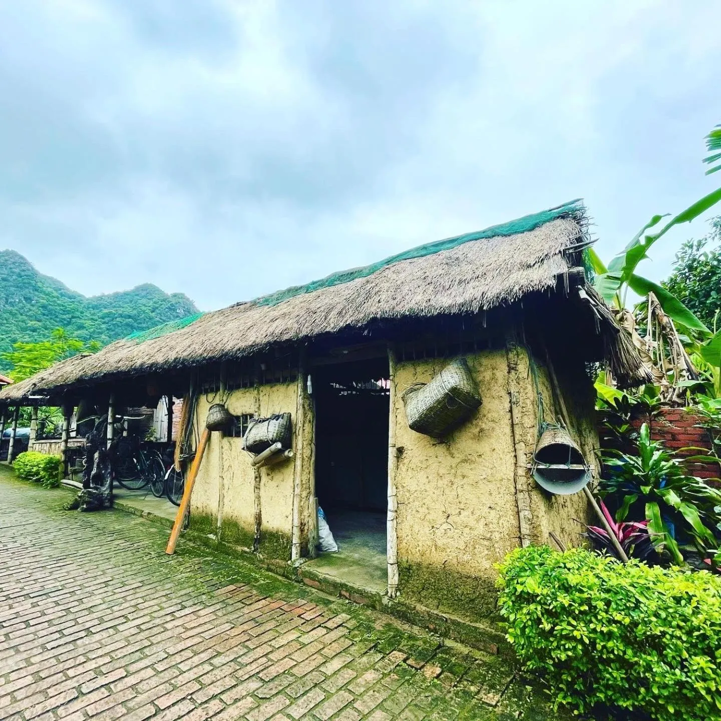 Property building in Lan Homestay