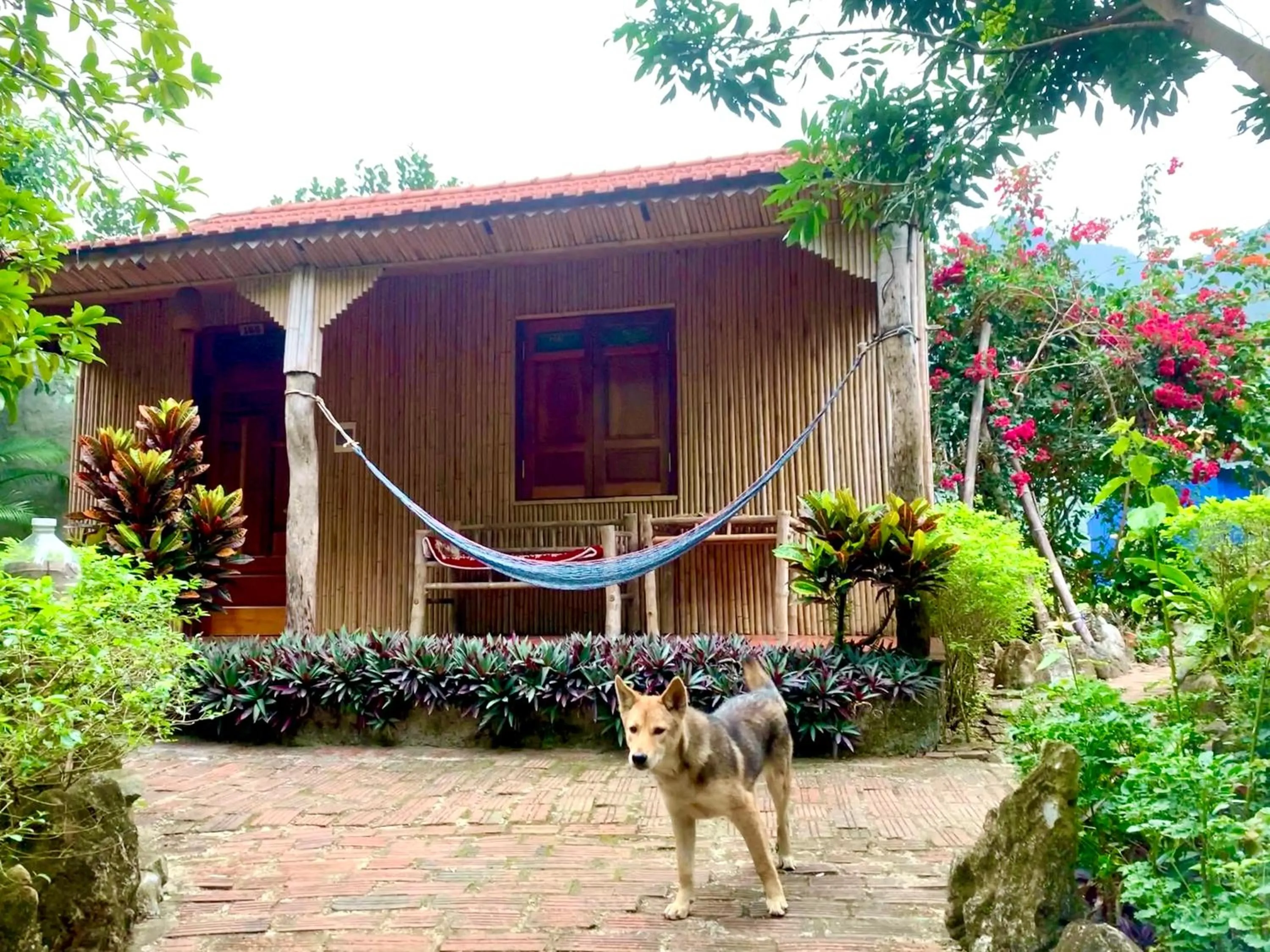 Day in Lan Homestay