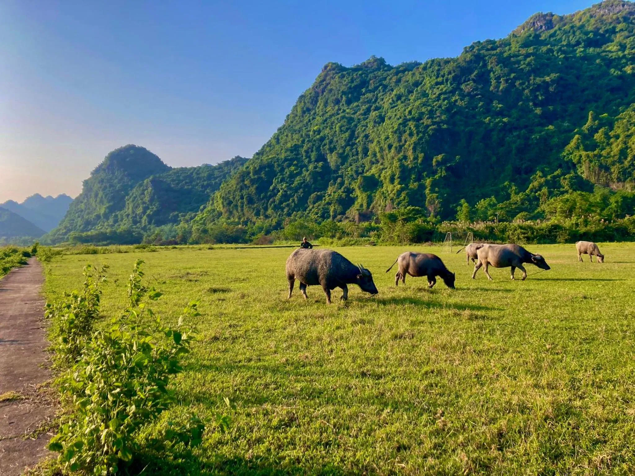 Natural landscape in Lan Homestay