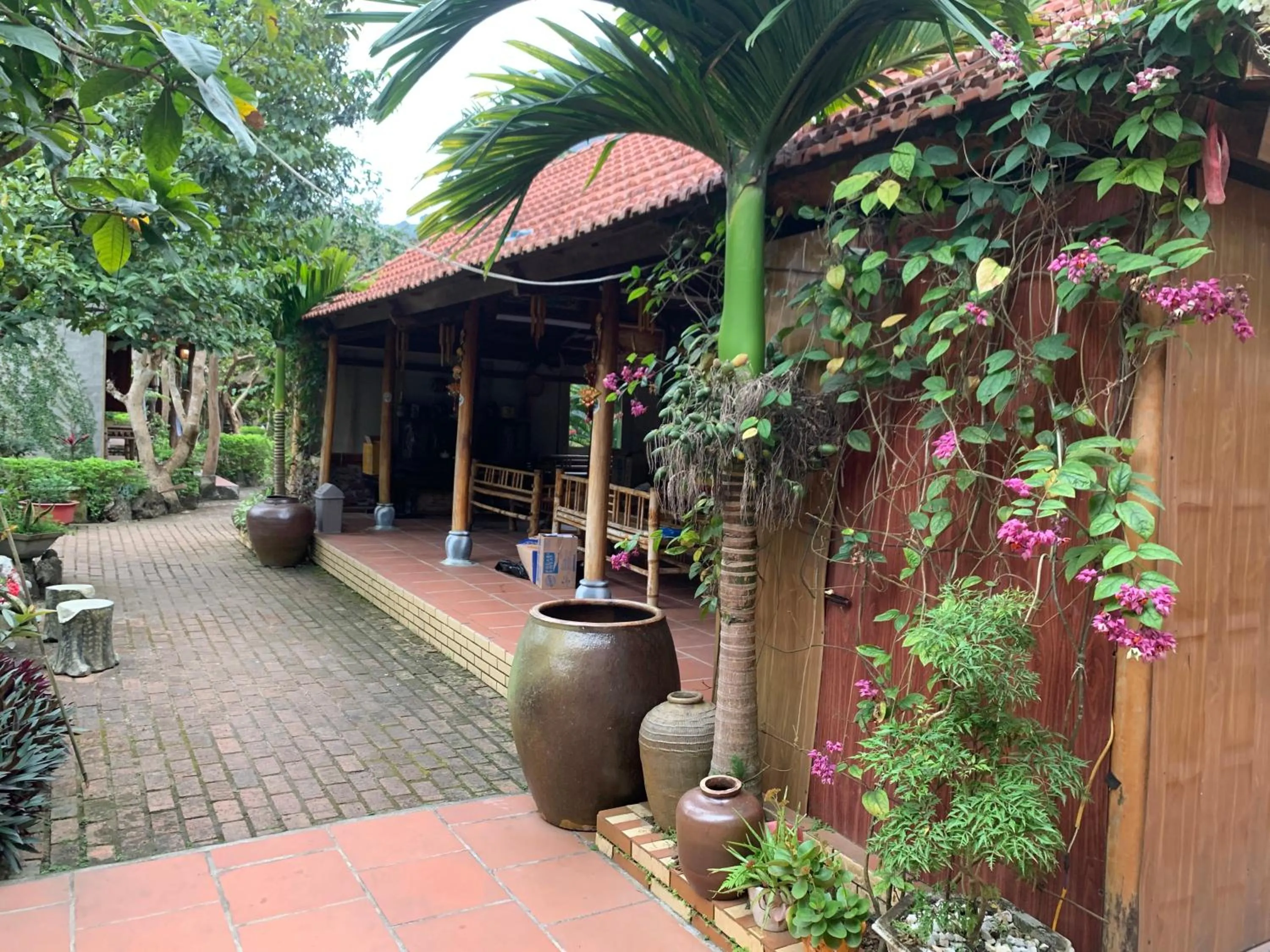 Garden in Lan Homestay