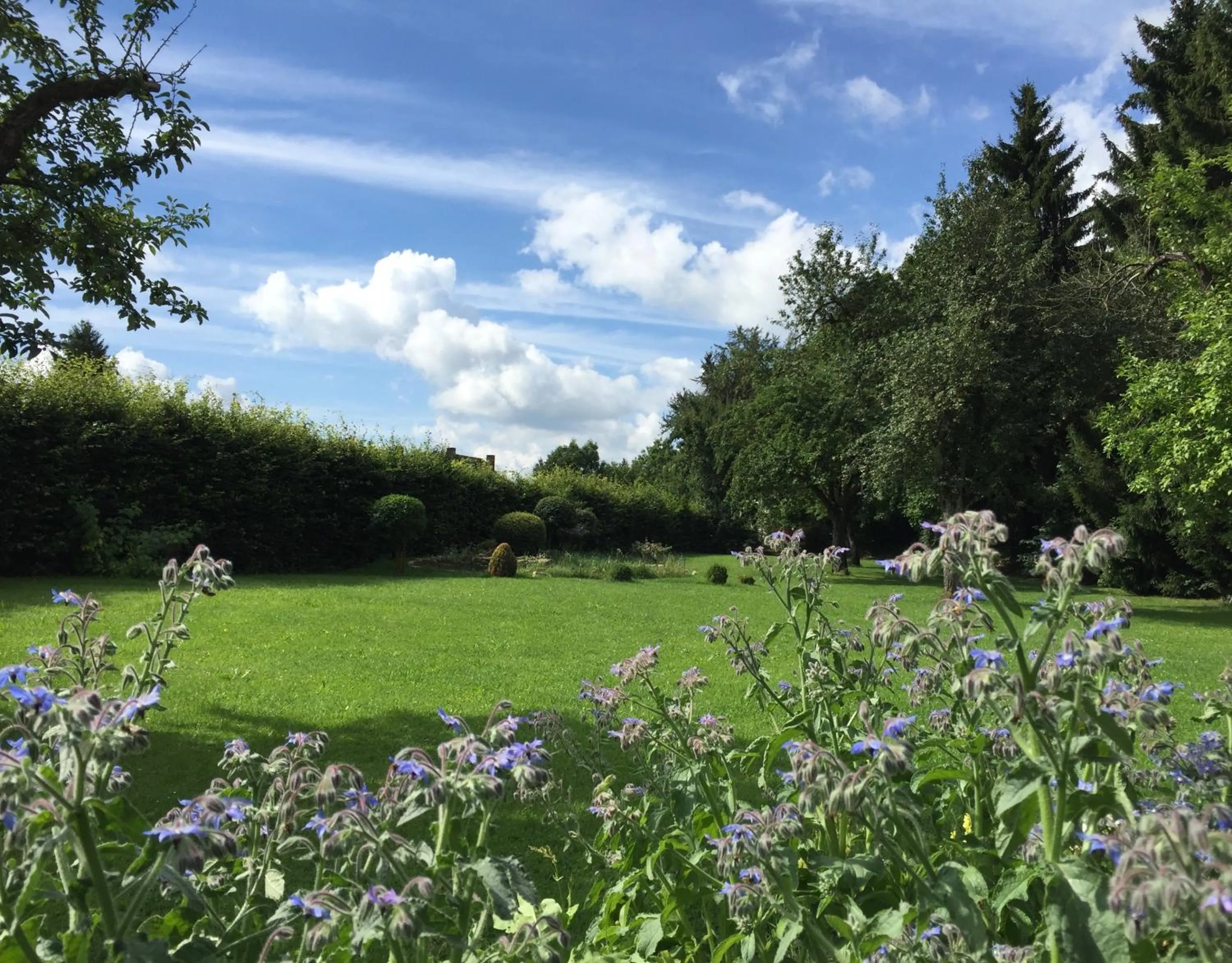 View (from property/room) in Flair Hotel Grüner Baum