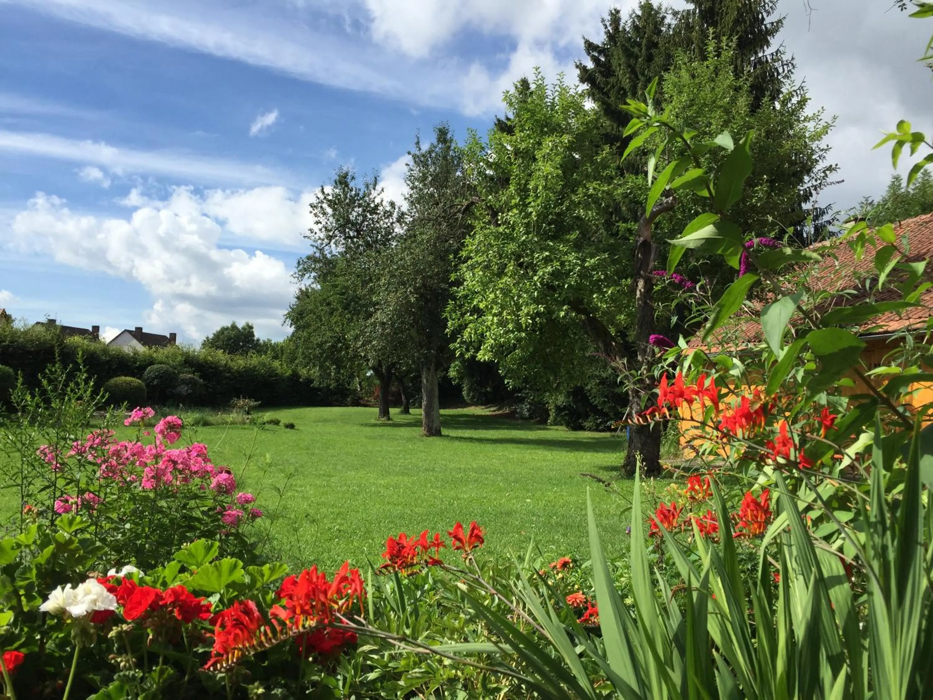 View (from property/room) in Flair Hotel Grüner Baum