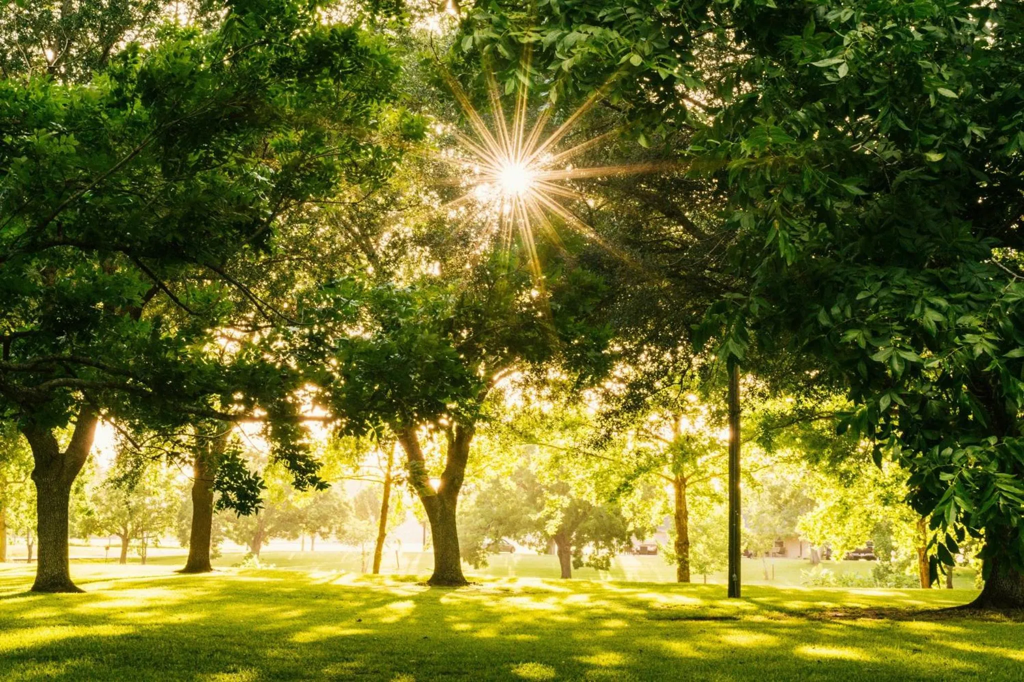 Nearby landmark in Garner Hotel Essen - Messe by IHG