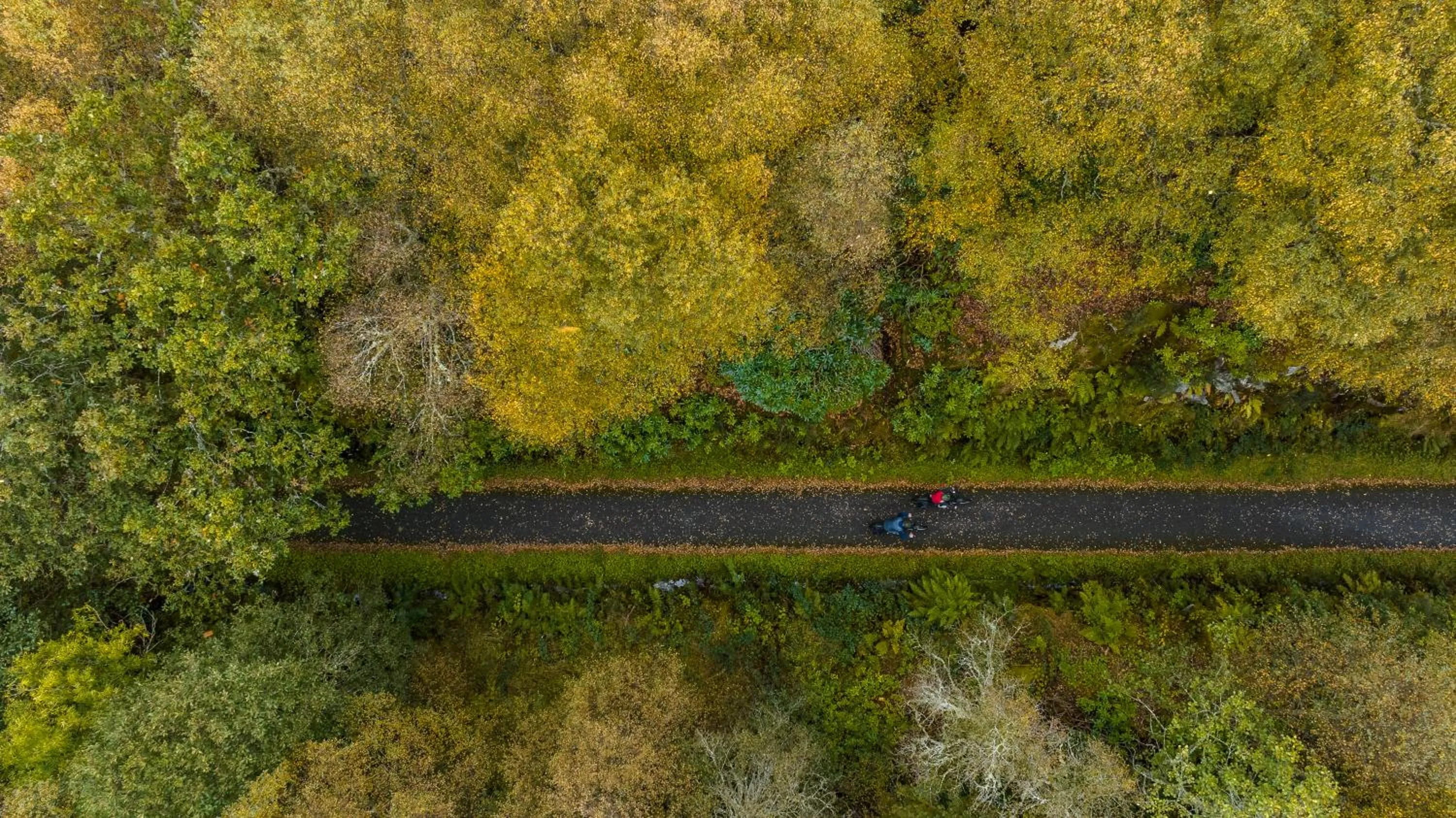 Cycling in SeaBeds - Luxury Lookouts with Hot Tubs
