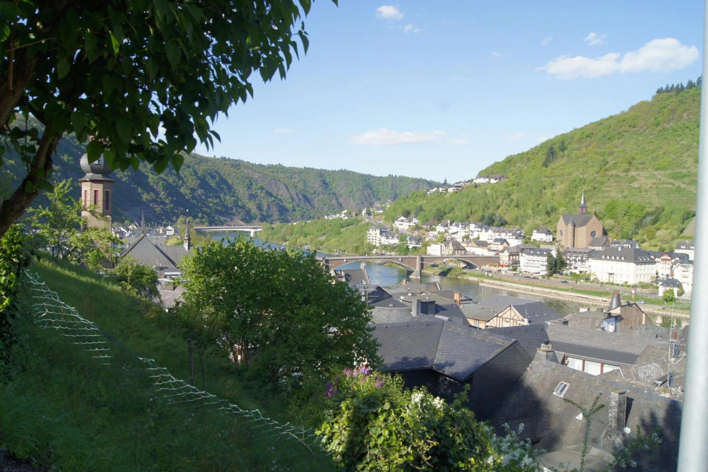 Garden in Hotel Villa Tummelchen