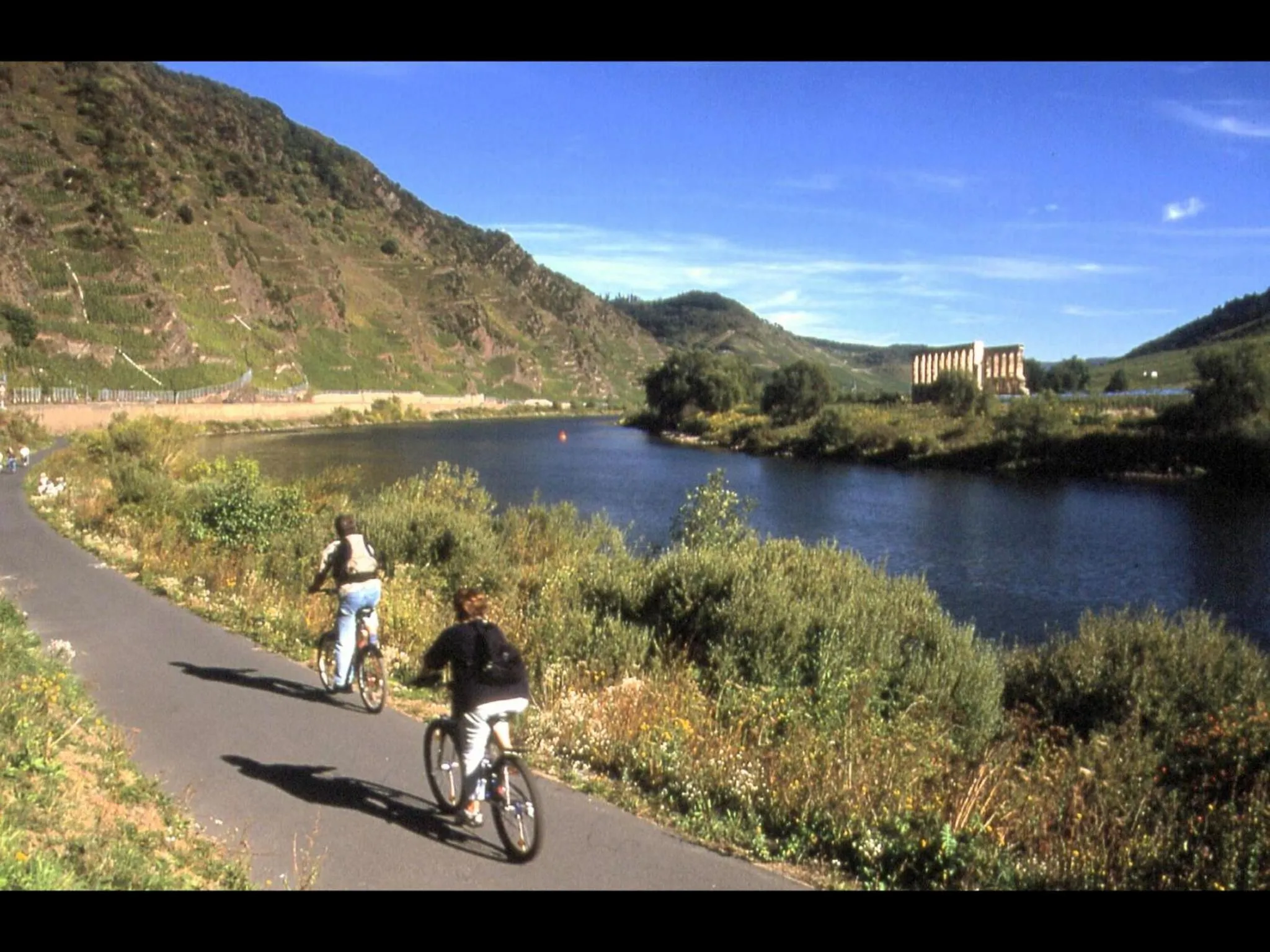 Area and facilities in Hotel Villa Tummelchen