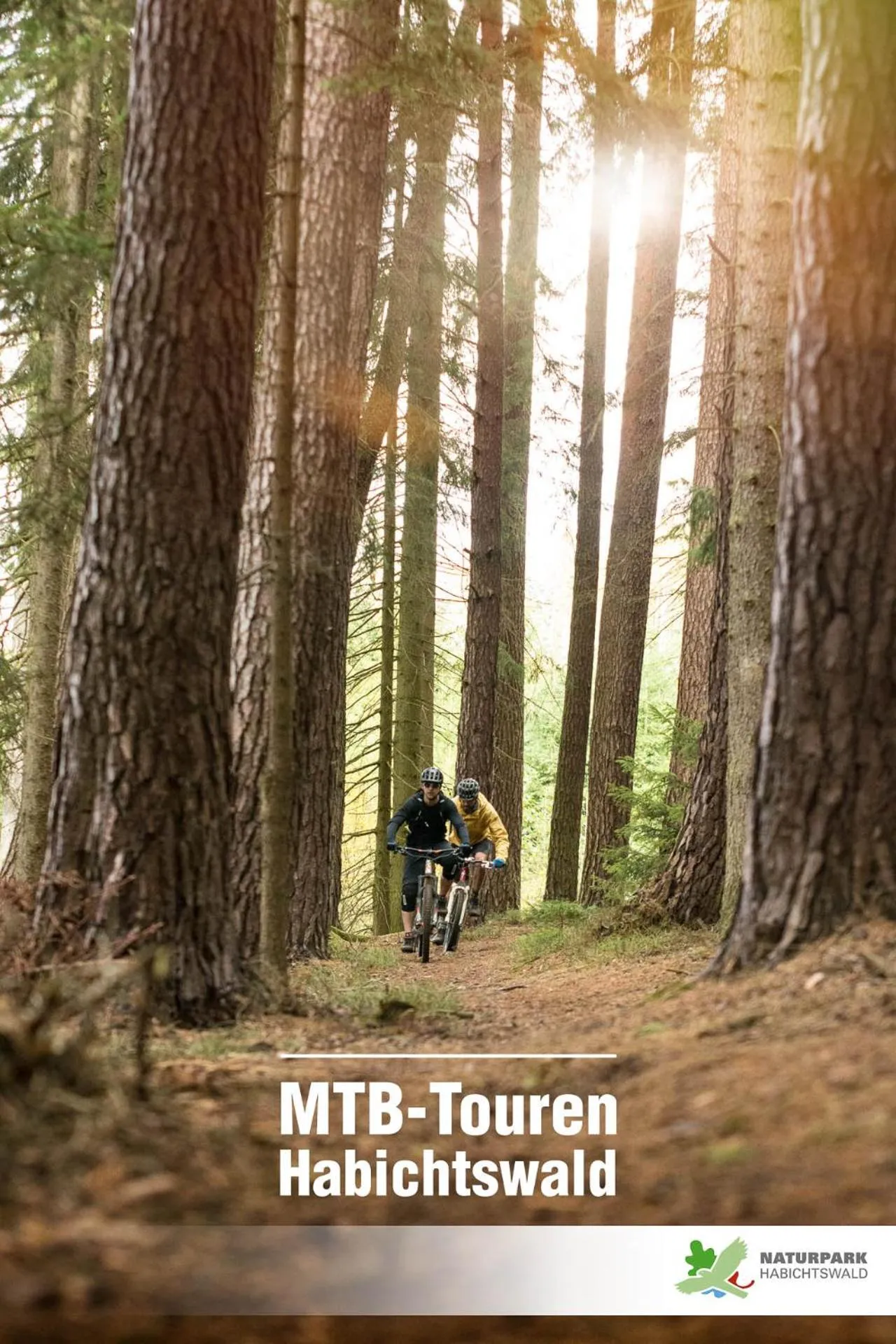 Natural landscape in Landhotel Sonneneck - Breuna im Naturpark