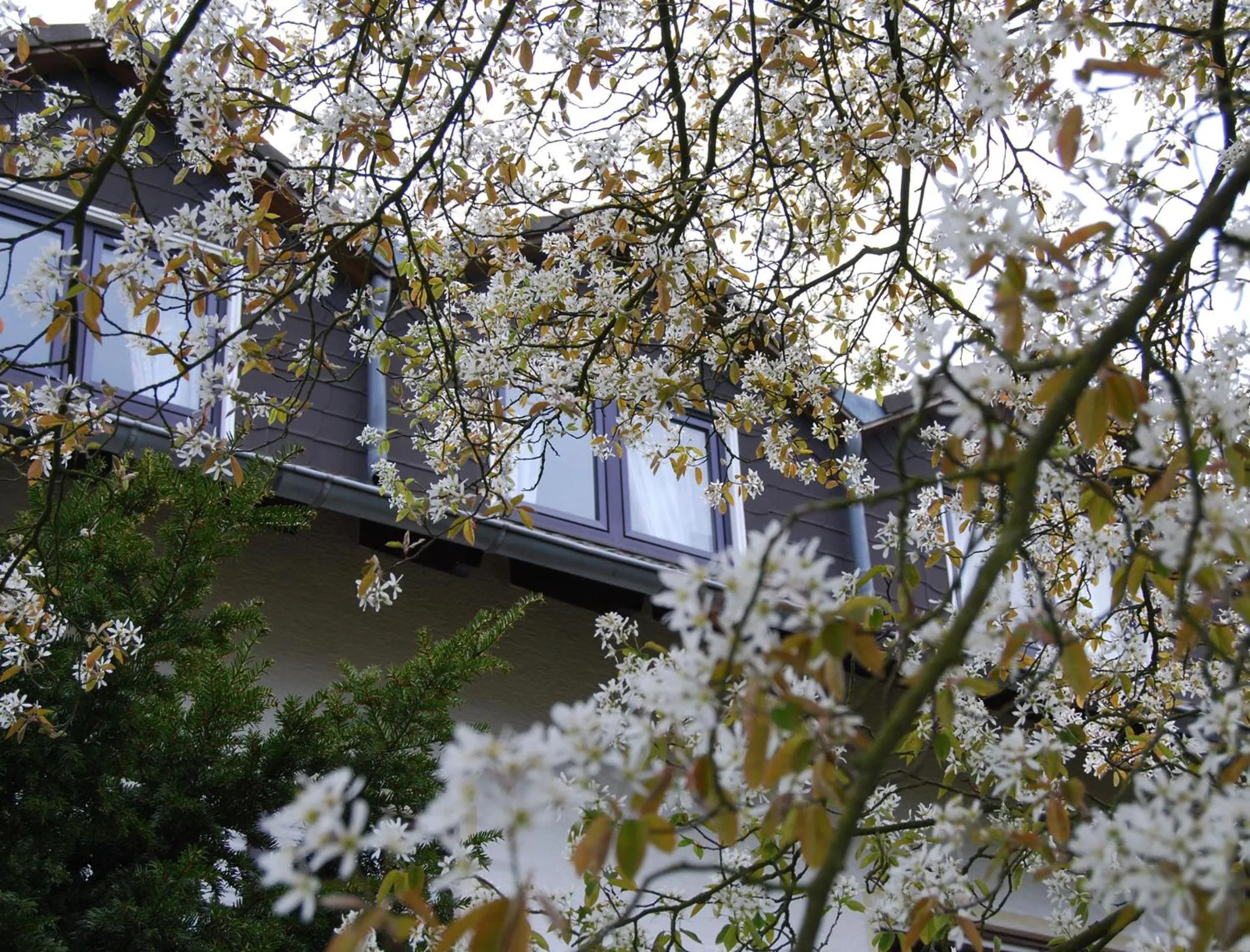 Garden in Landhotel Sonneneck - Breuna im Naturpark