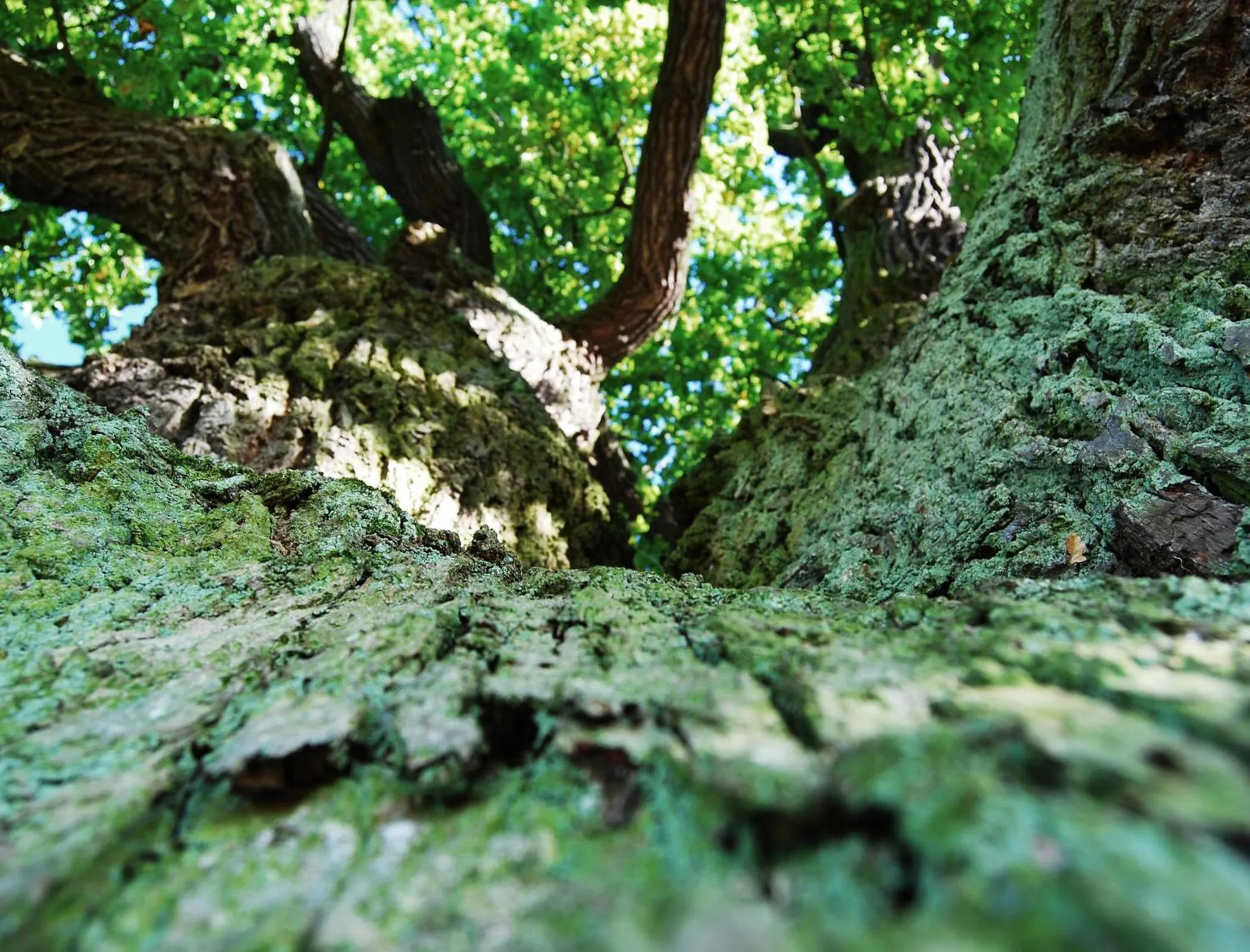 Natural landscape in Landhotel Sonneneck - Breuna im Naturpark