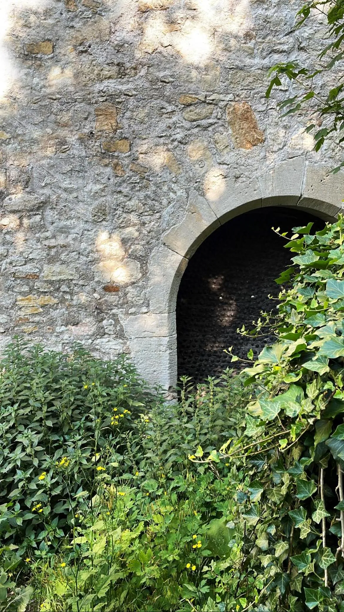 Nearby landmark in Schloss Beichlingen