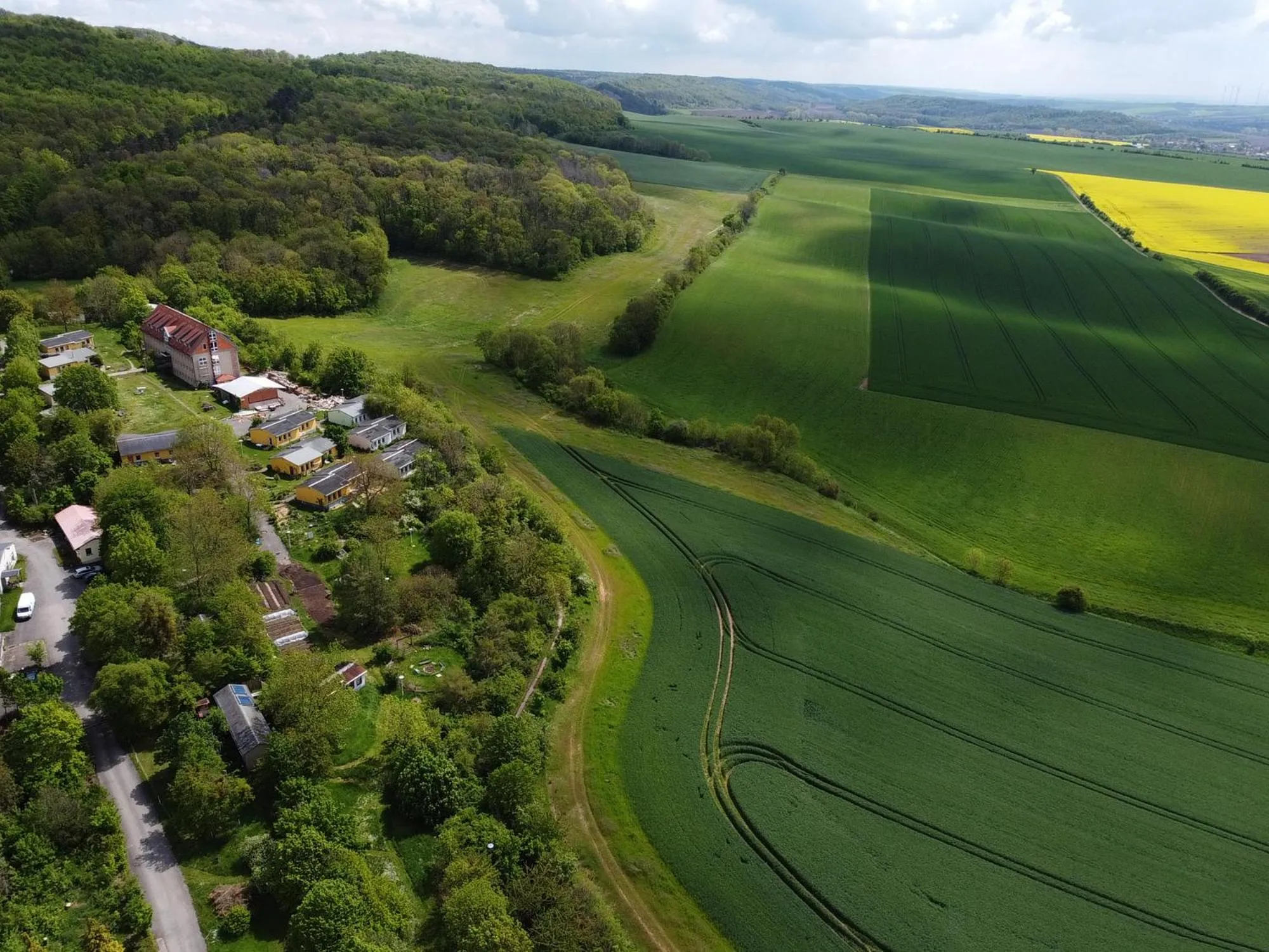 Natural landscape in Schloss Beichlingen
