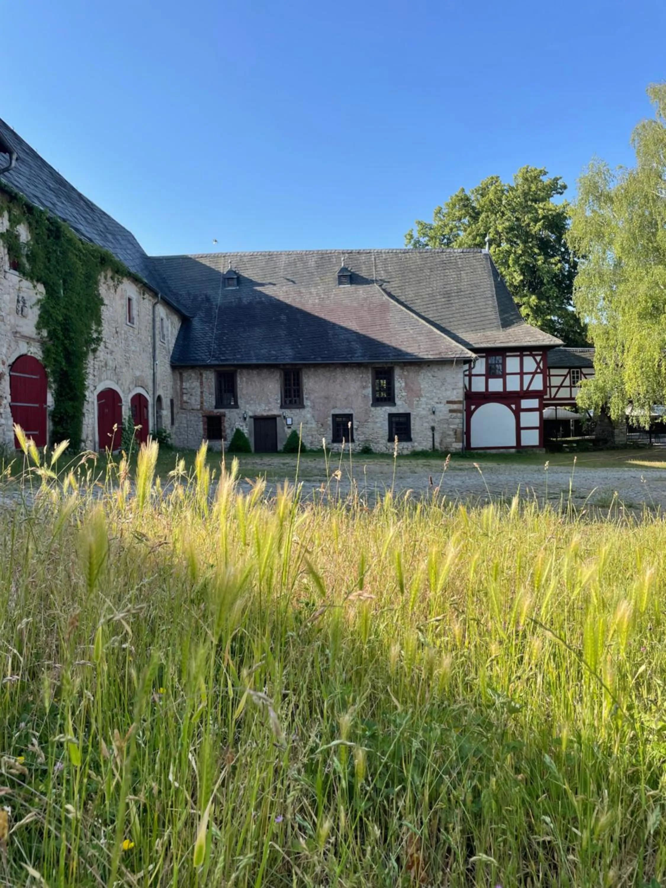 Property building in Schloss Beichlingen