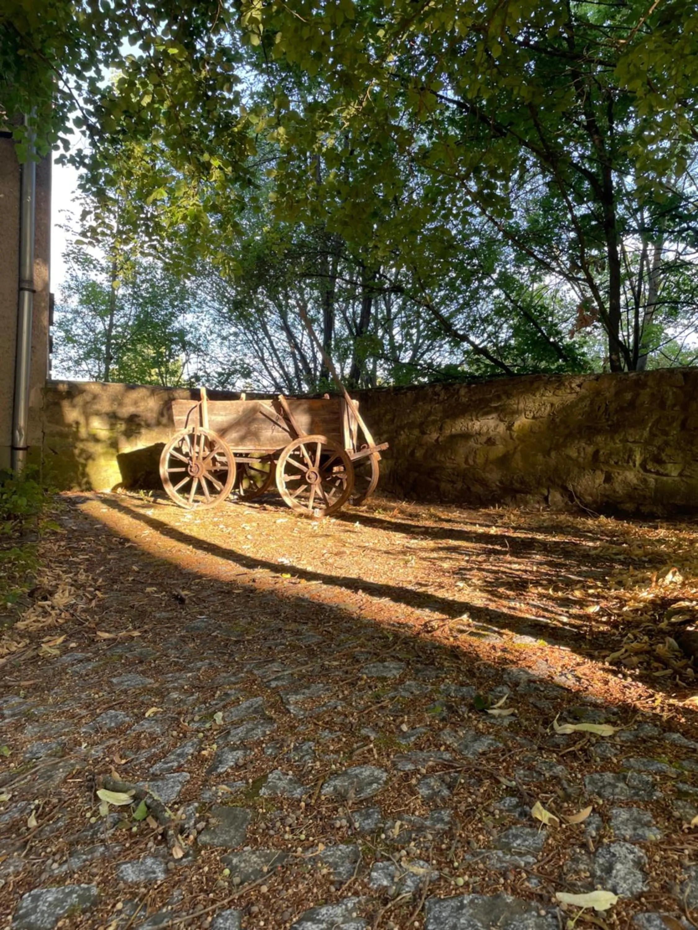 Nearby landmark in Schloss Beichlingen