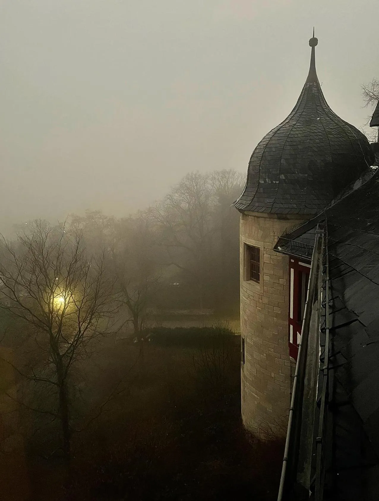 Natural landscape in Schloss Beichlingen