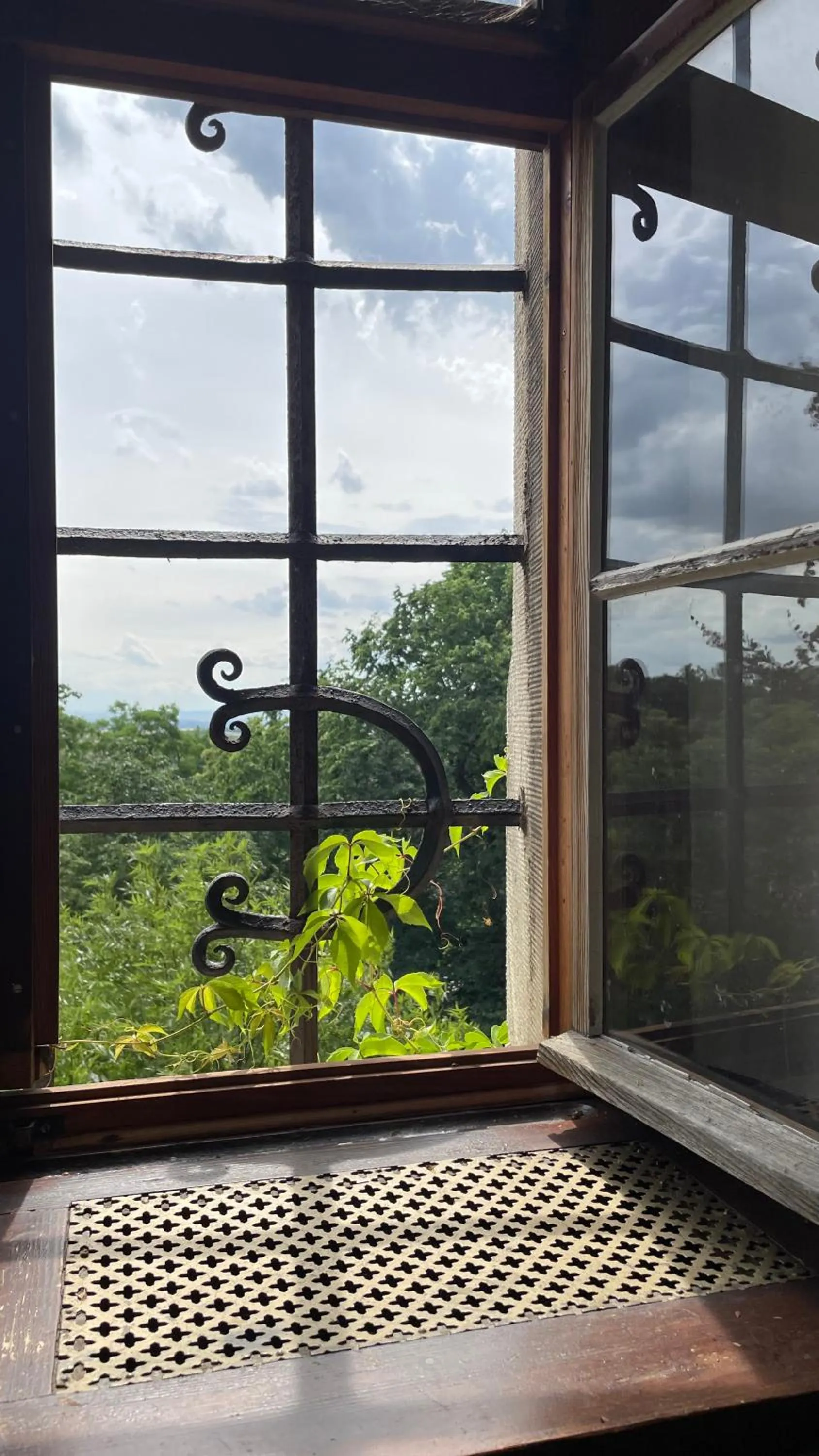 Natural landscape in Schloss Beichlingen