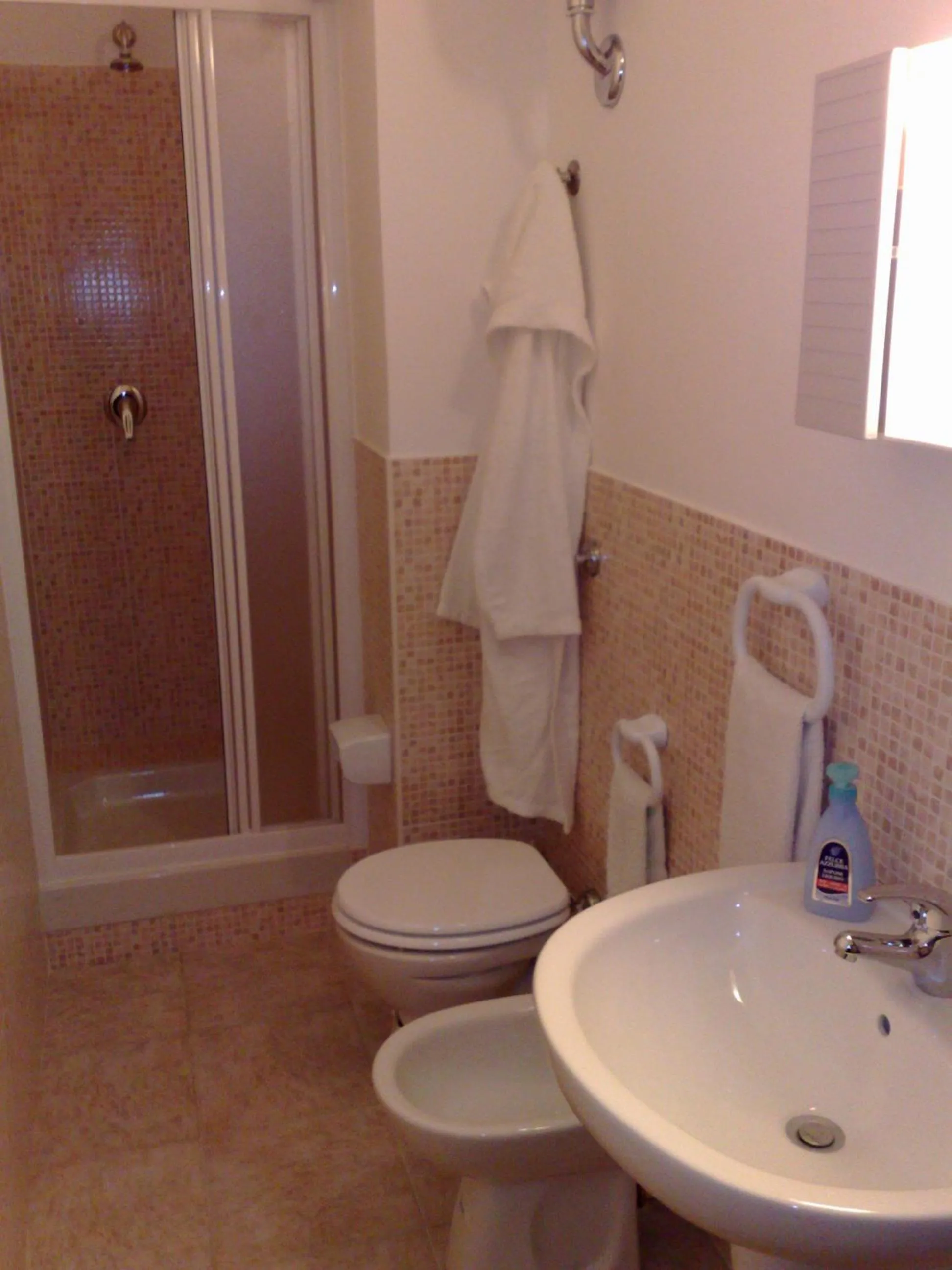 Shower in B&B New Triscele