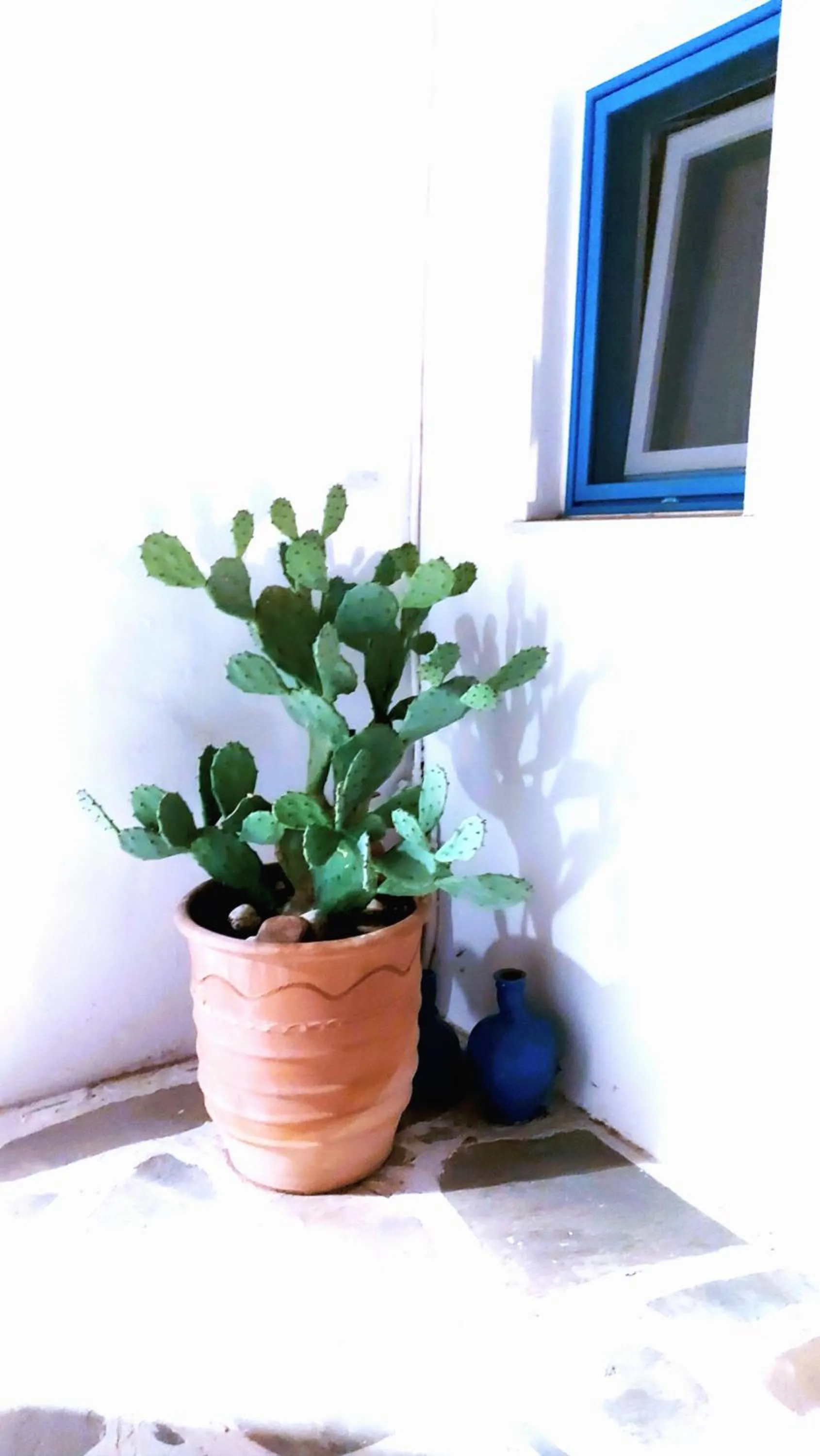 Decorative detail in Akteon Hotel