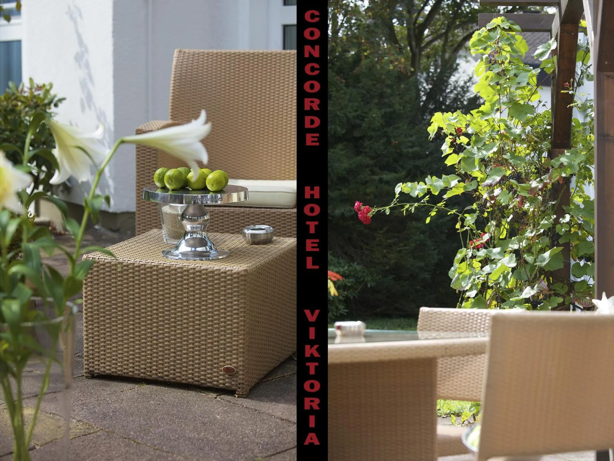 Restaurant/places to eat in Concorde Hotel Viktoria