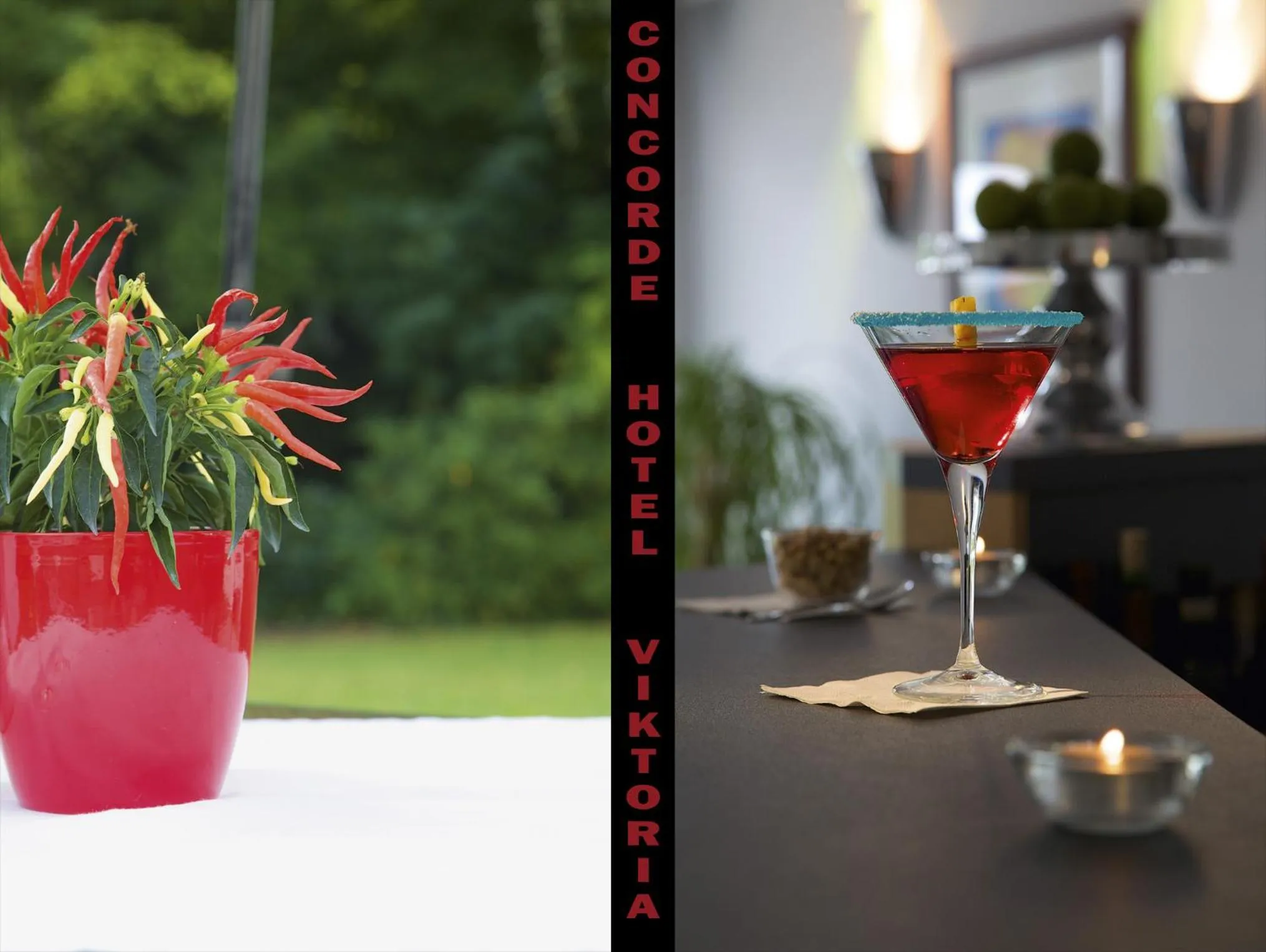 Restaurant/places to eat in Concorde Hotel Viktoria