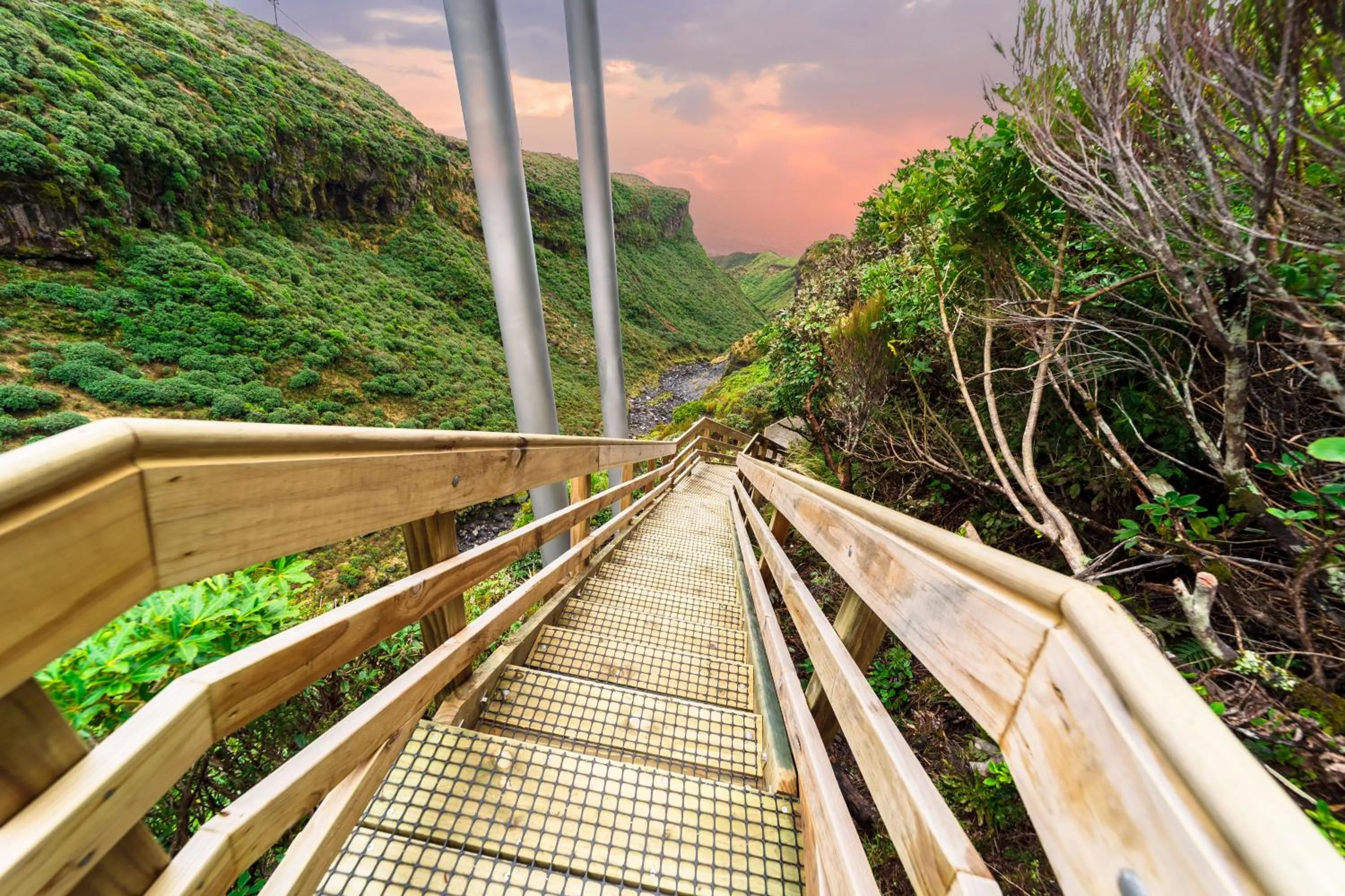 Spring in Ngati Ruanui Mountain Lodge