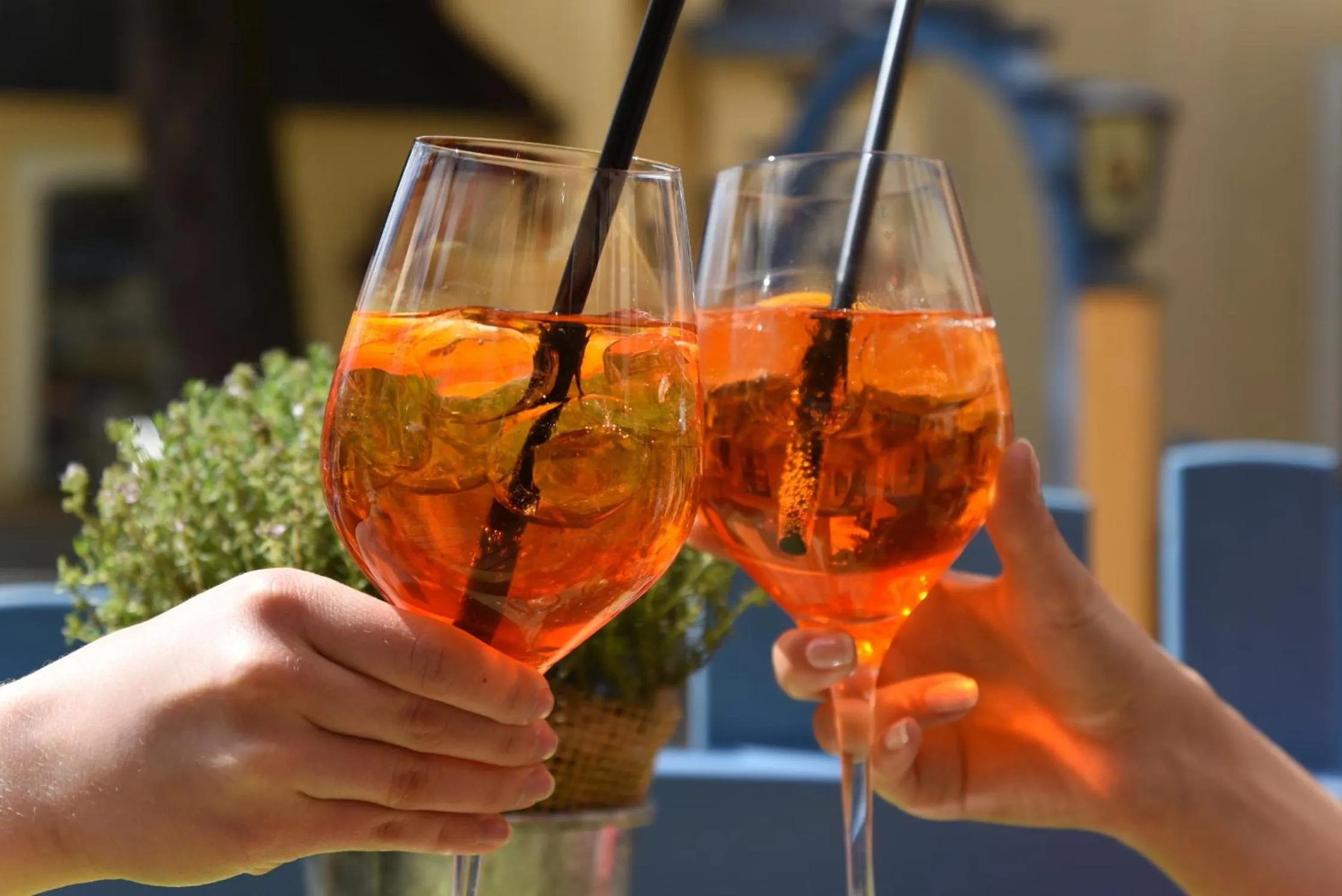 Food and drinks in Hotel Erbgericht Buntes Haus