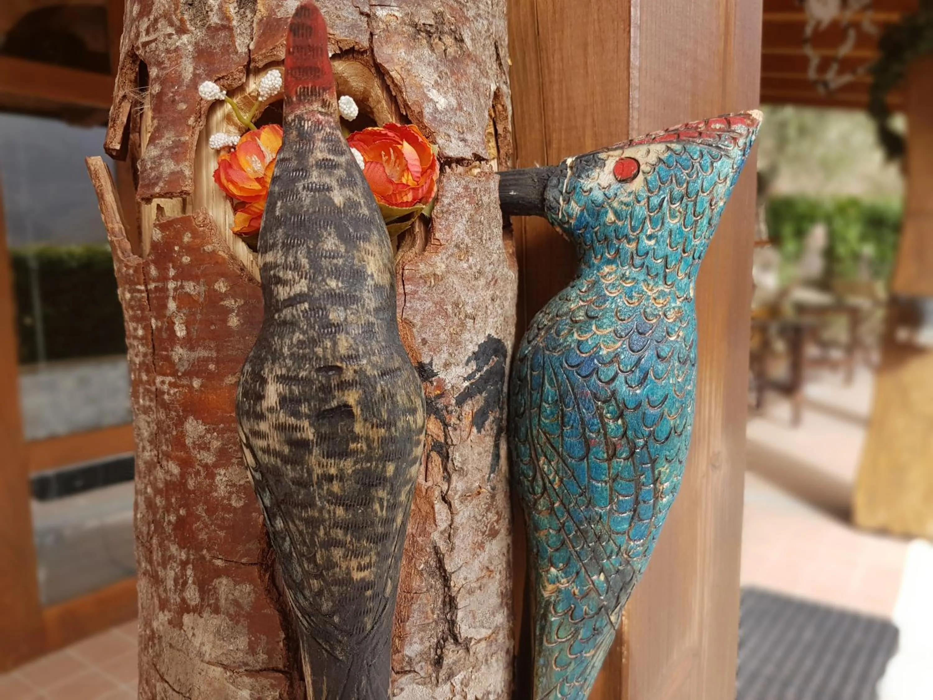 Animals in Le Chalet del Pollino