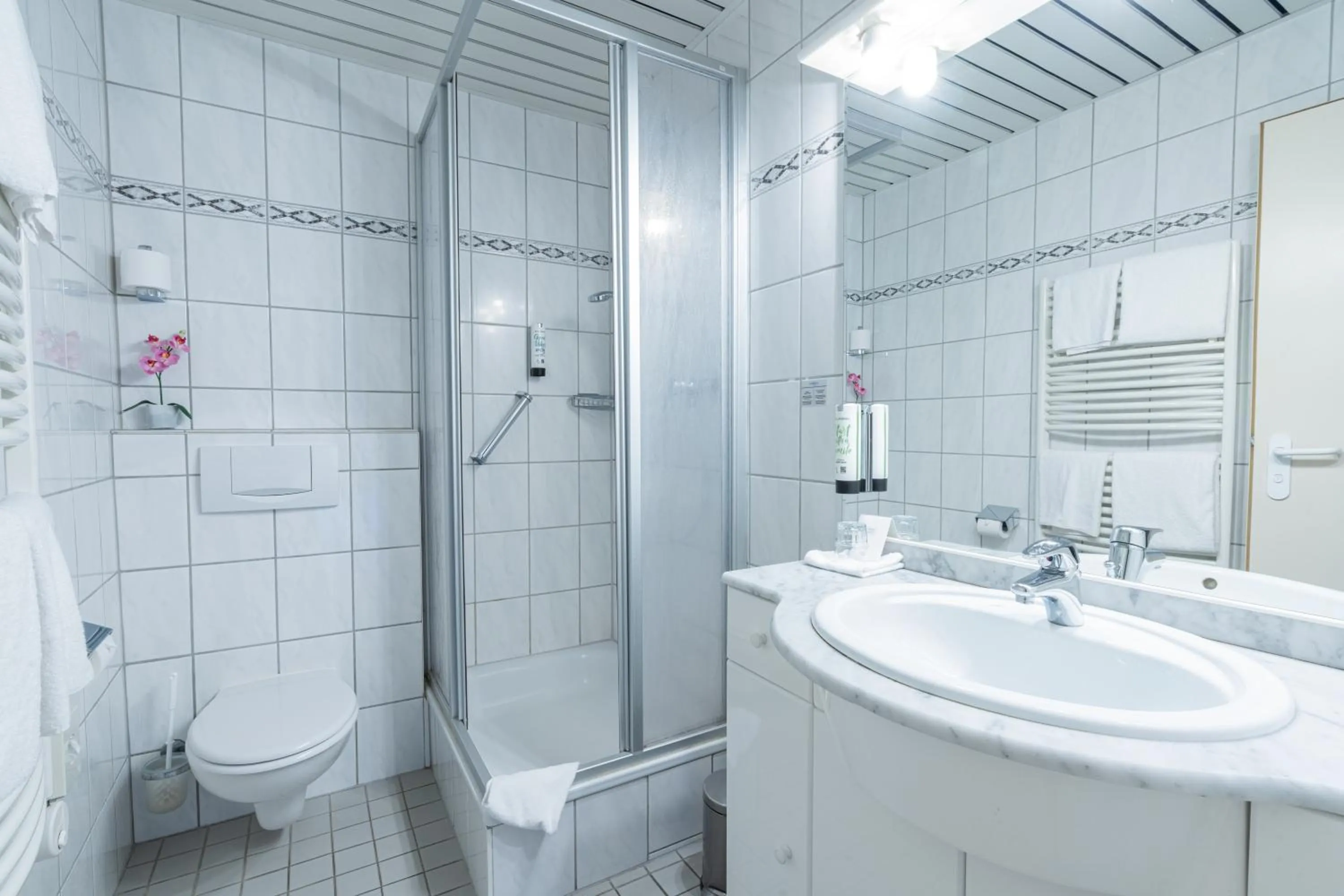 Shower in Parkhotel Bad Homburg