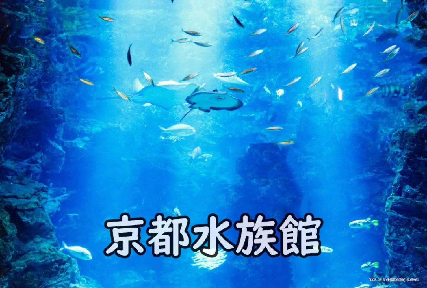 Off site in Stay SAKURA Kyoto Tambaguchi