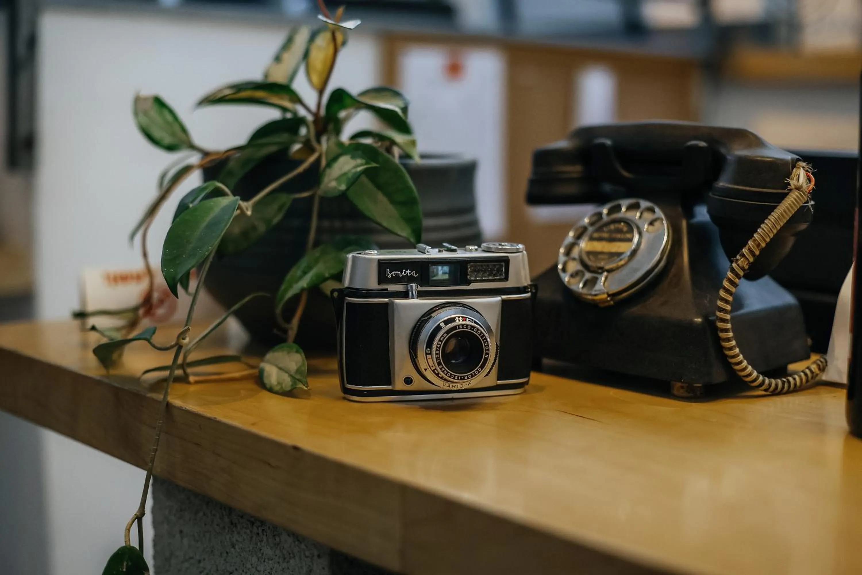 Decorative detail in Domus Metro Hotel