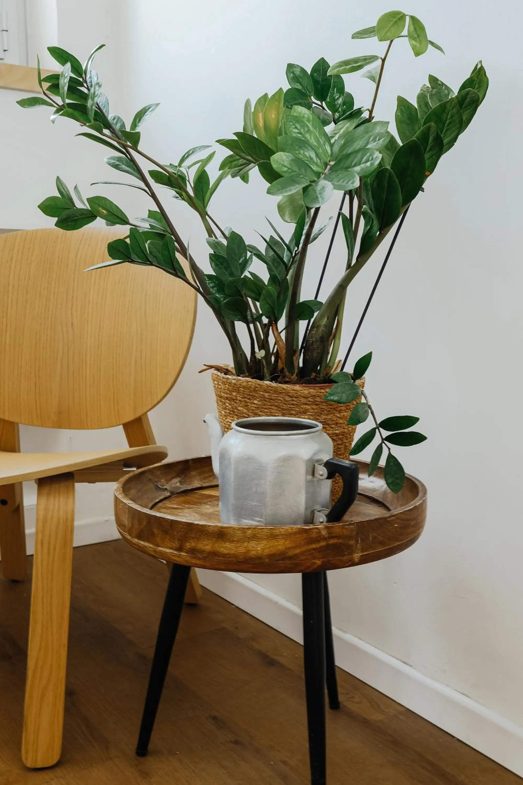 Decorative detail in Domus Metro Hotel