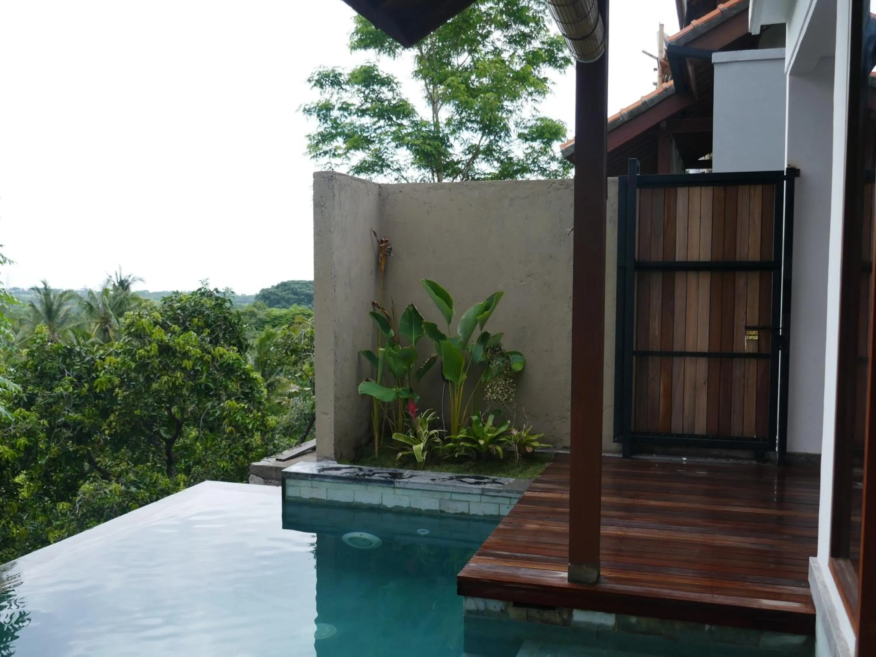 Garden in Abinawa Hill