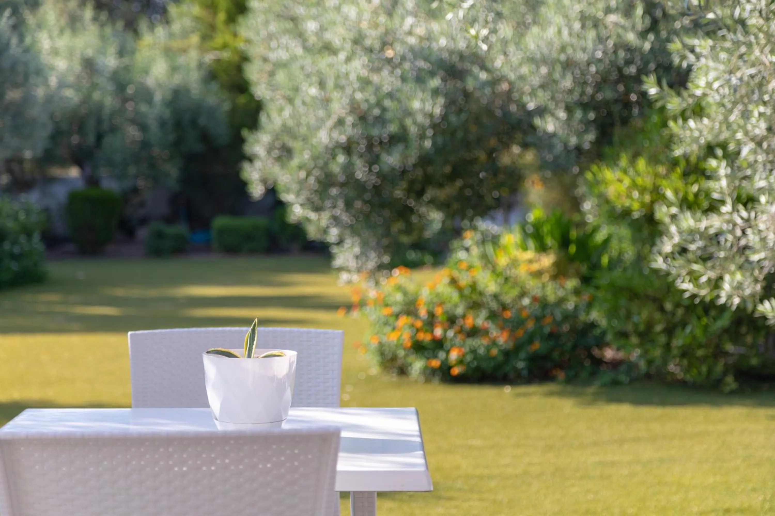 Ampoulos Rooms & Apartments