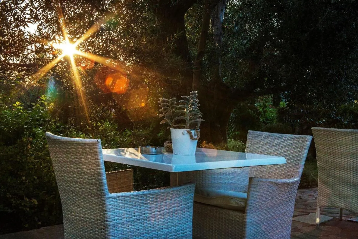 Garden in Ampoulos Rooms & Apartments