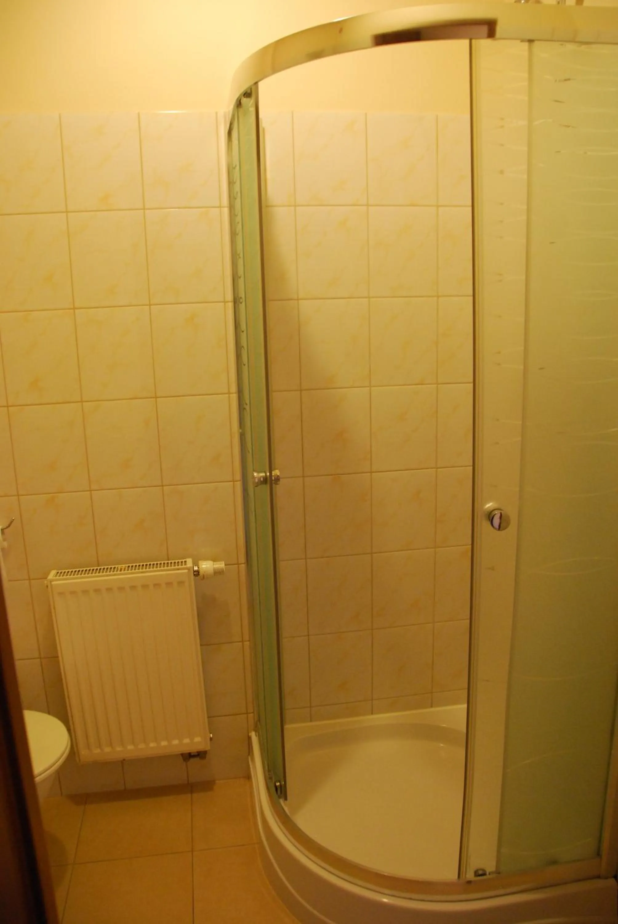 Shower in Noclegi Kochlice