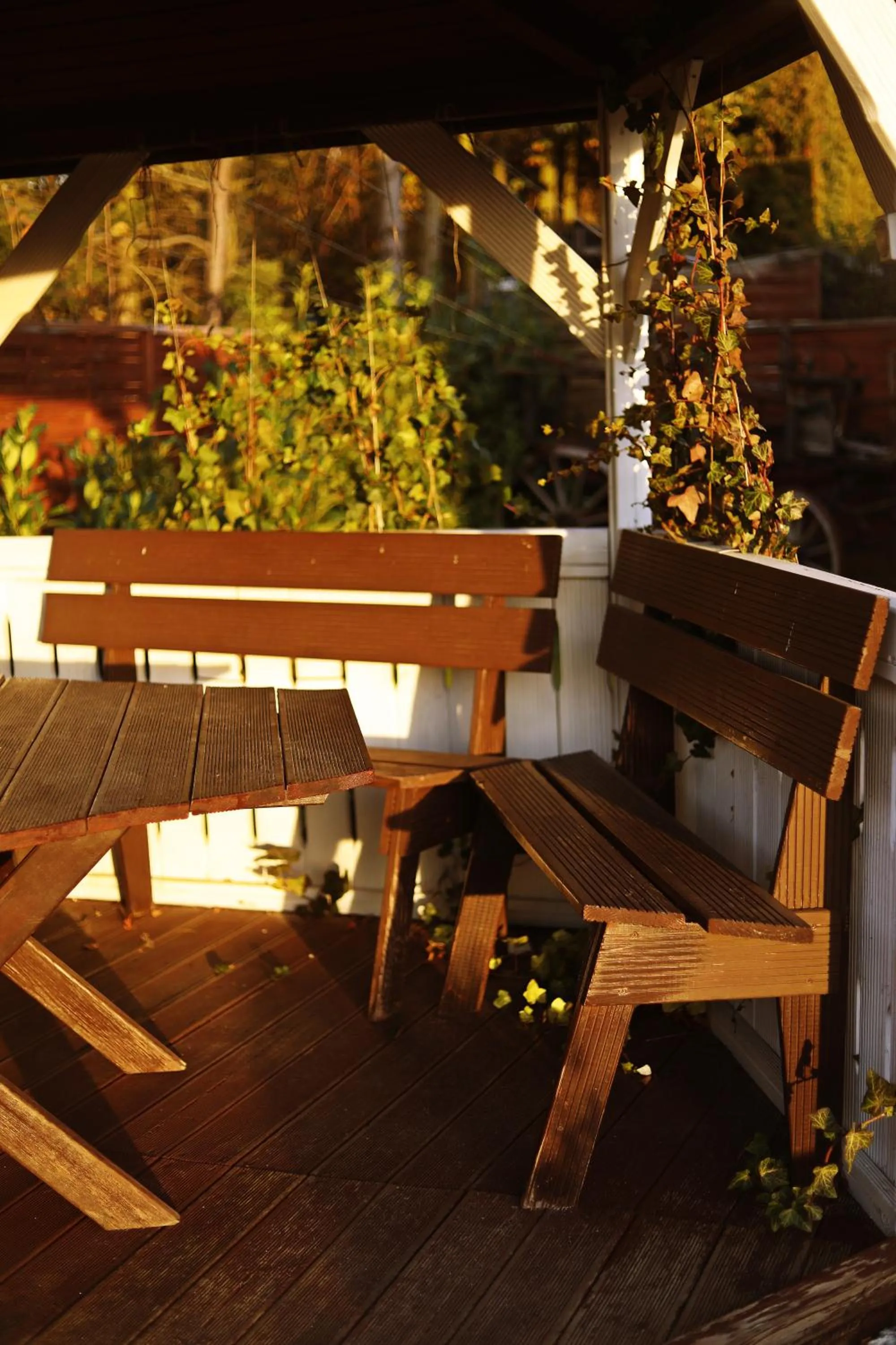 View (from property/room) in Noclegi Kochlice