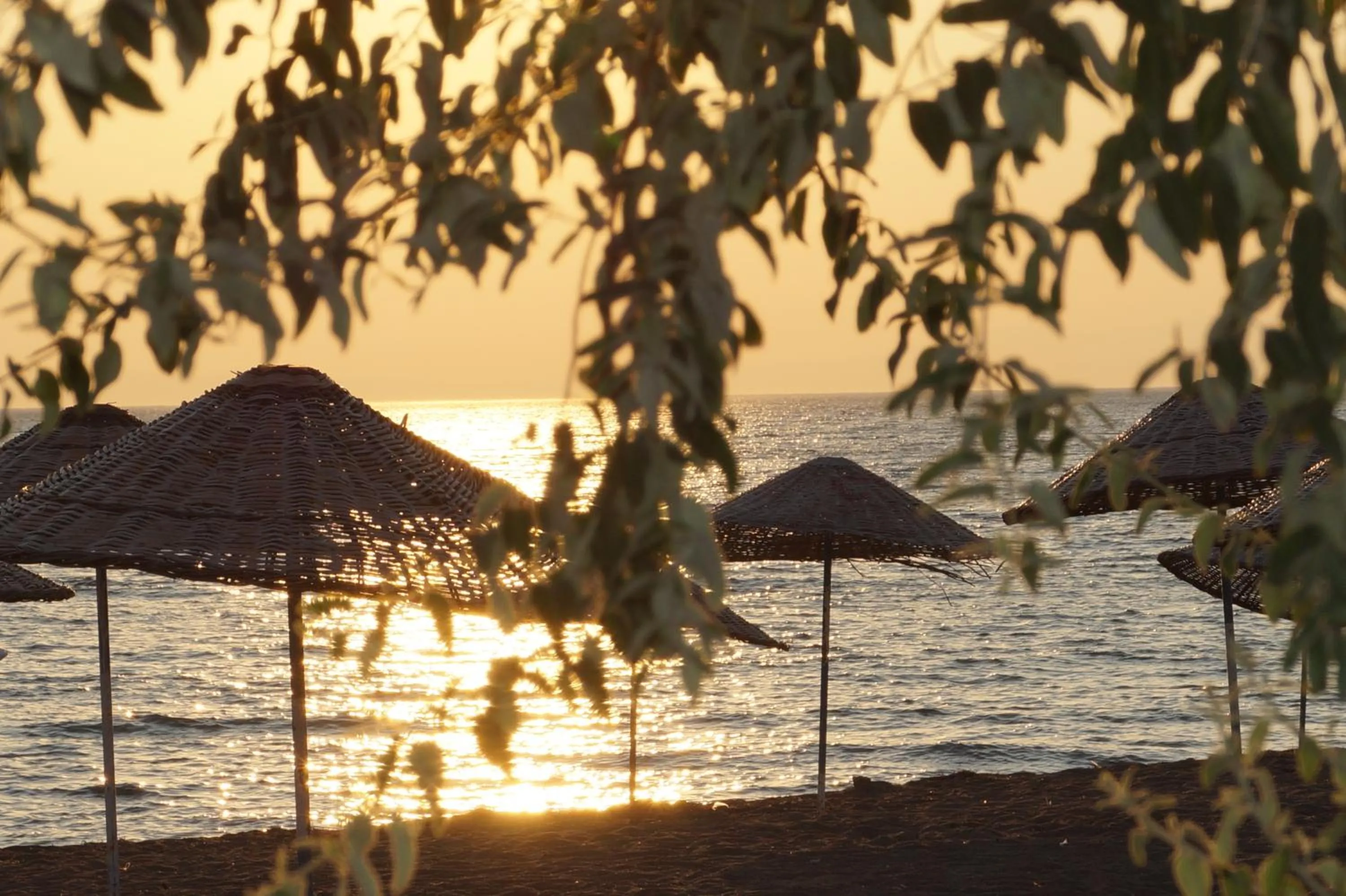 Sea view in Dikelya Hotel