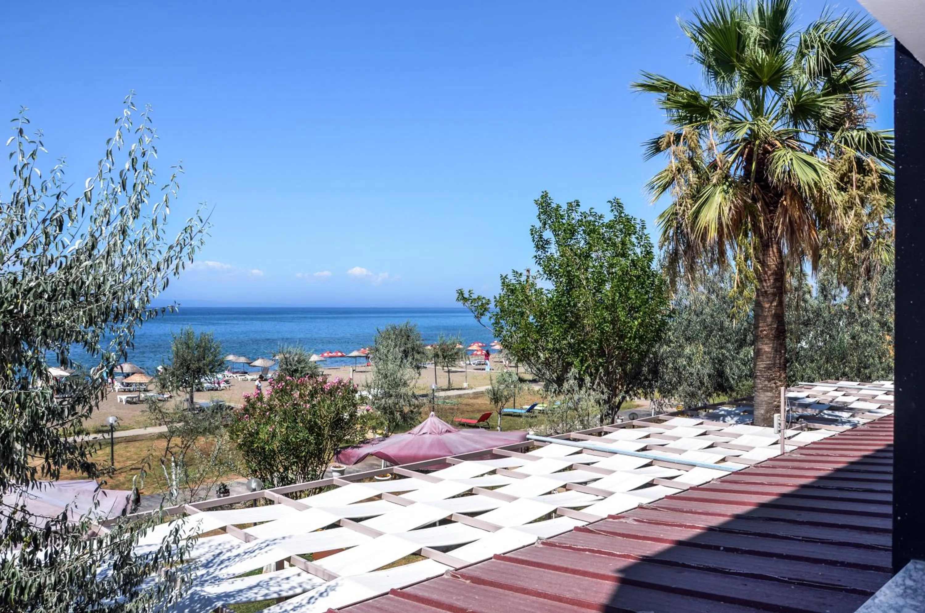 View (from property/room) in Dikelya Hotel