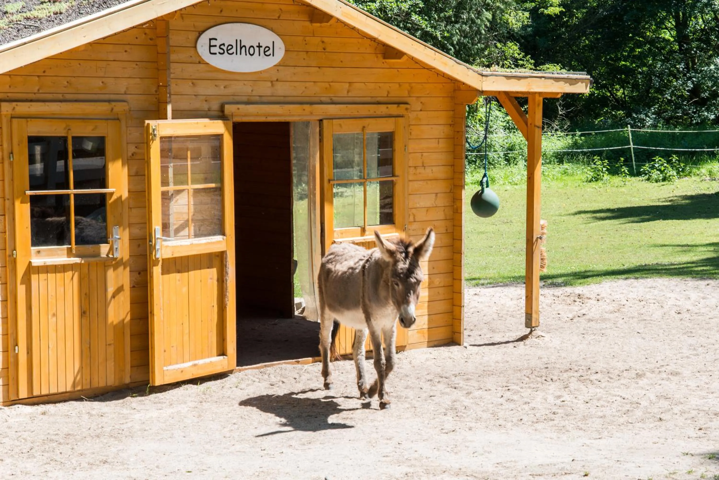 Animals in Seehotel Frankenhorst - BW Signature Collection