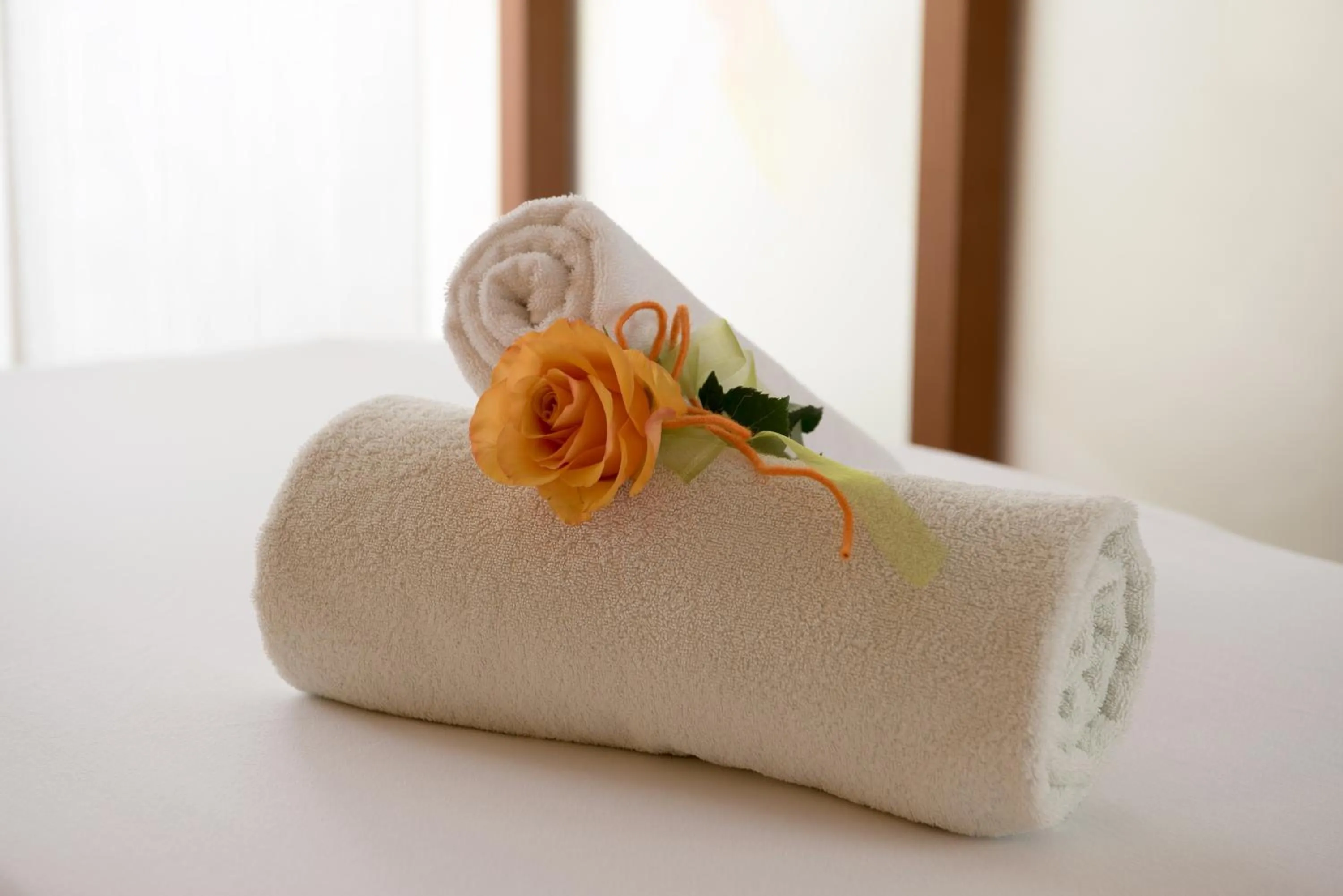 Massage in Luitpoldpark-Hotel