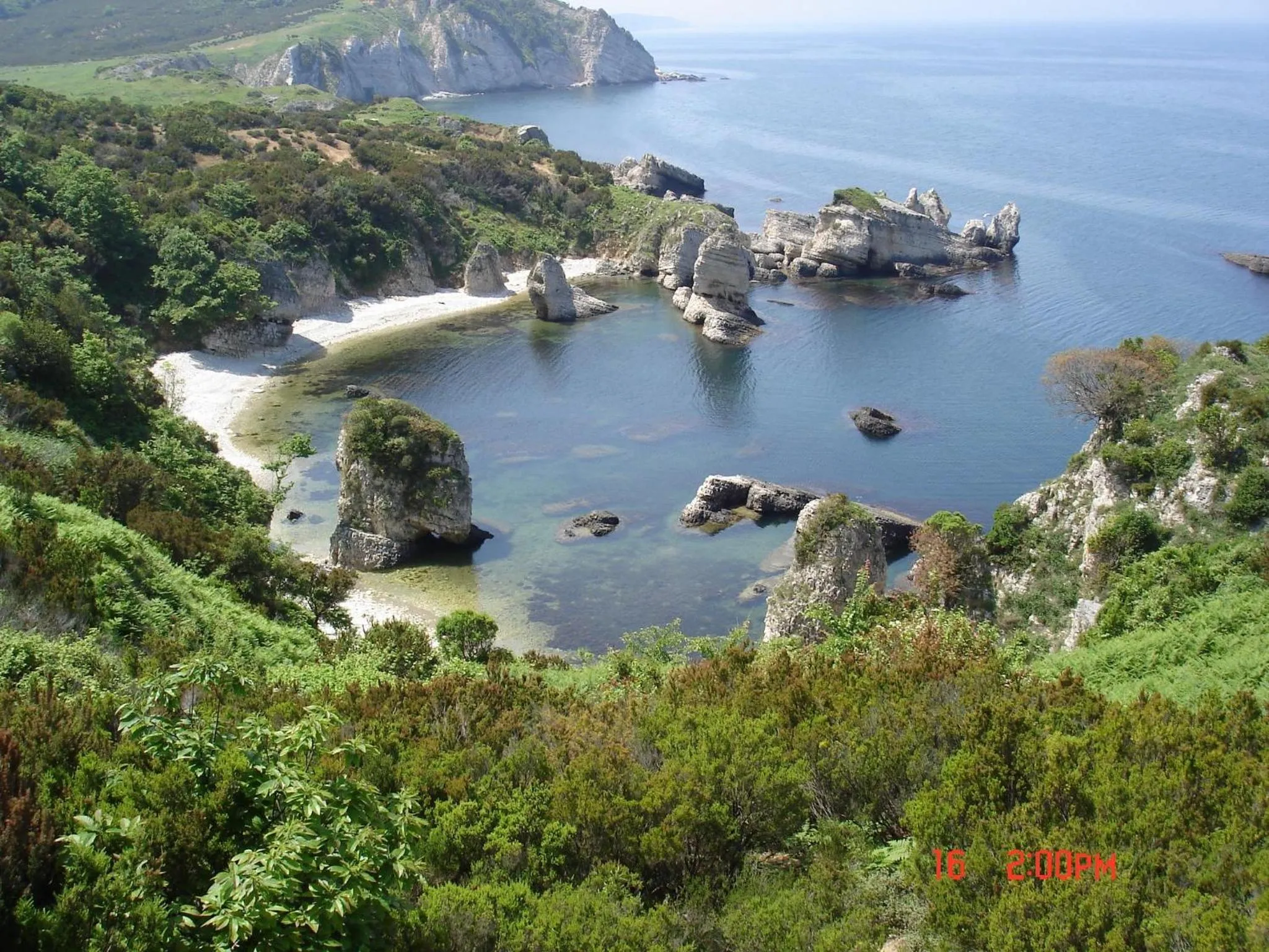 Area and facilities in Ağva Piassa Otel