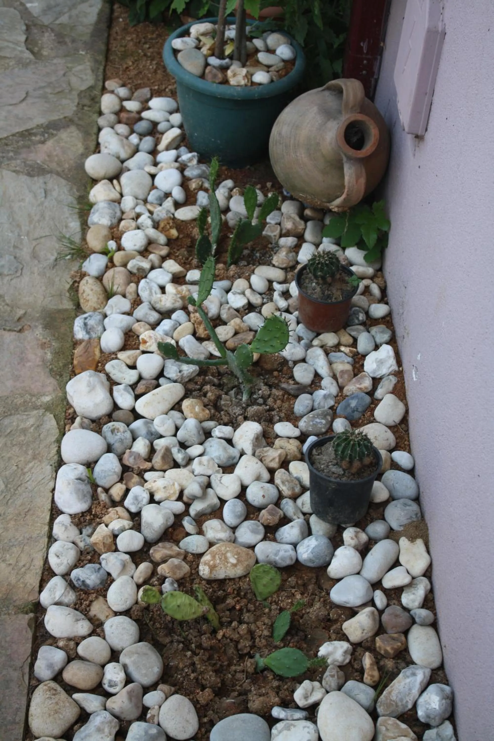 Garden in Sapphire Hotel