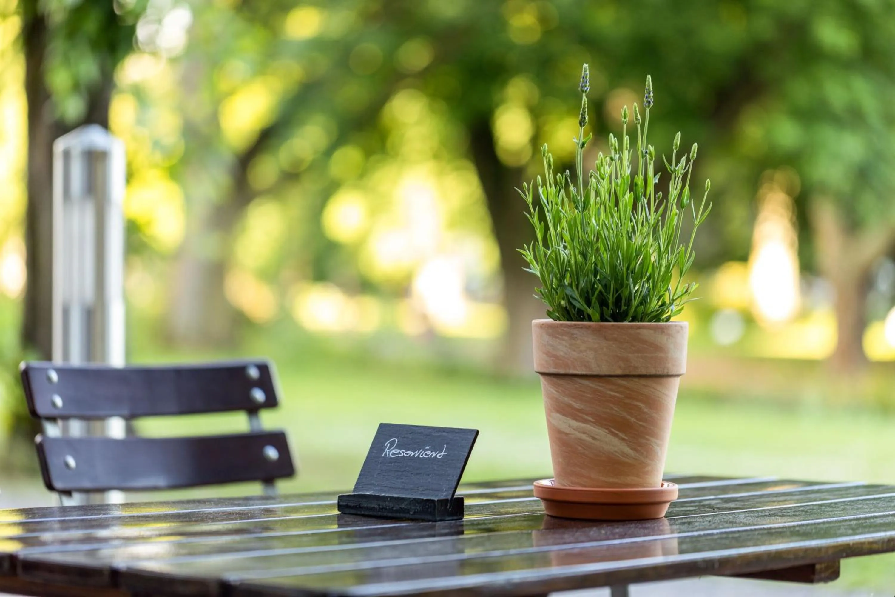 Lounge or bar in Sheraton Essen Hotel