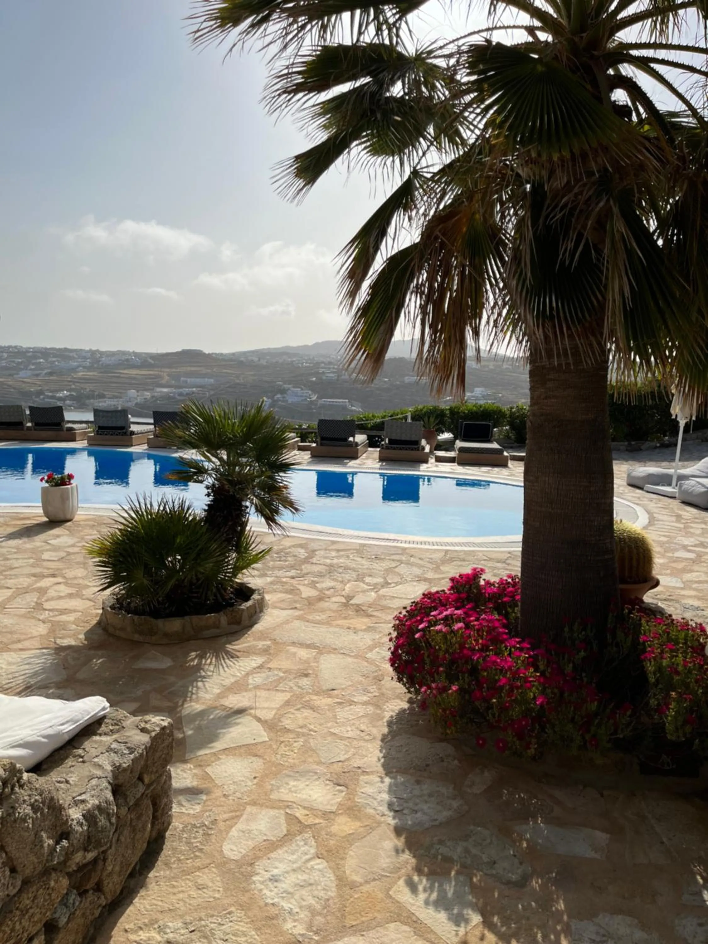 Day in Navy Blue Suites