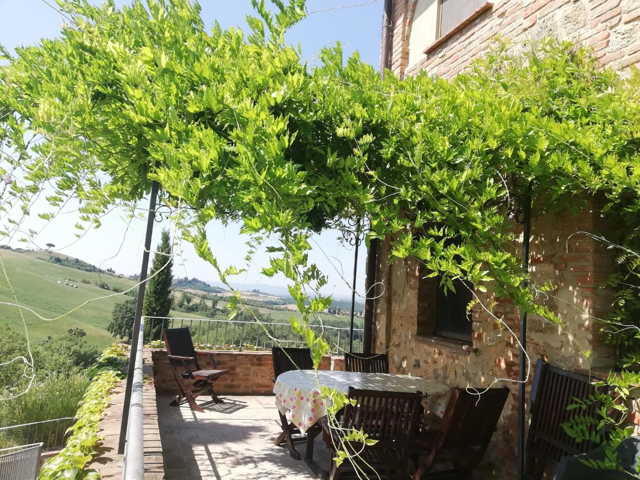 View (from property/room) in Holidays in apartment with swimming pool in Tuscany Siena
